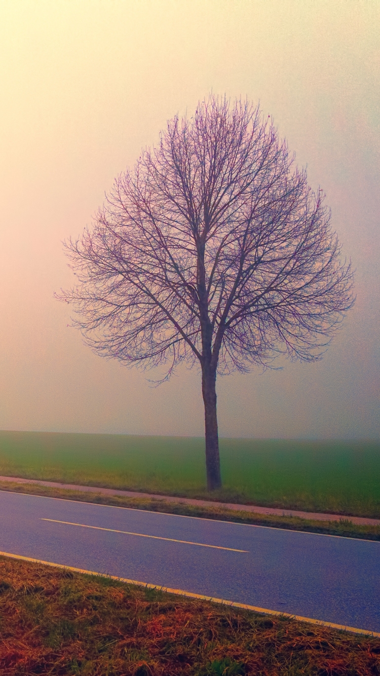 Download mobile wallpaper Road, Fog, Earth for free.