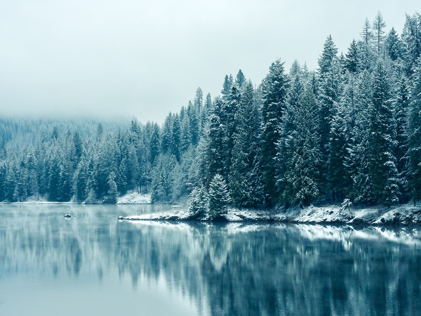 無料モバイル壁紙川, 木, 雪, モミの木, 風景, 冬をダウンロードします。