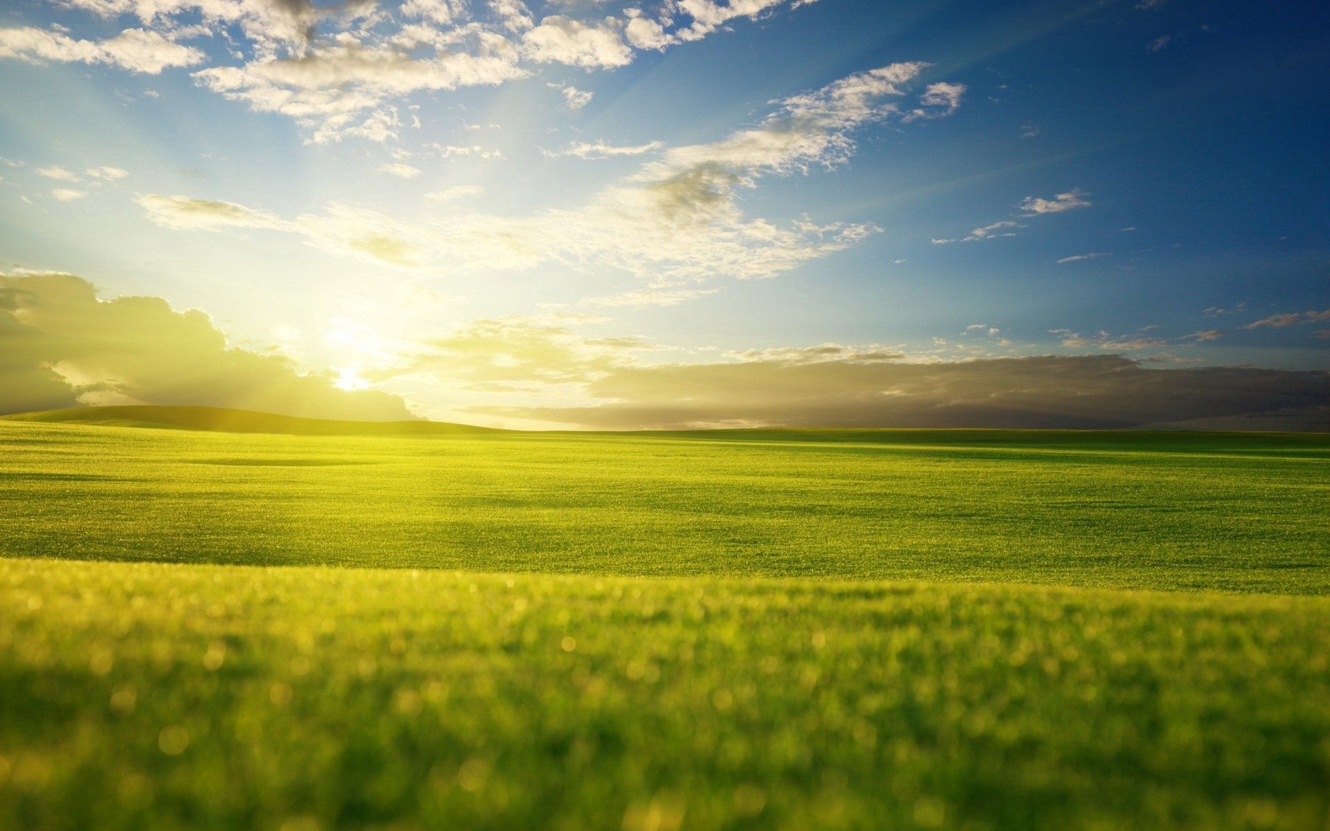 Laden Sie das Sommer, Natur, Grass, Licht, Sky, Scheinen-Bild kostenlos auf Ihren PC-Desktop herunter