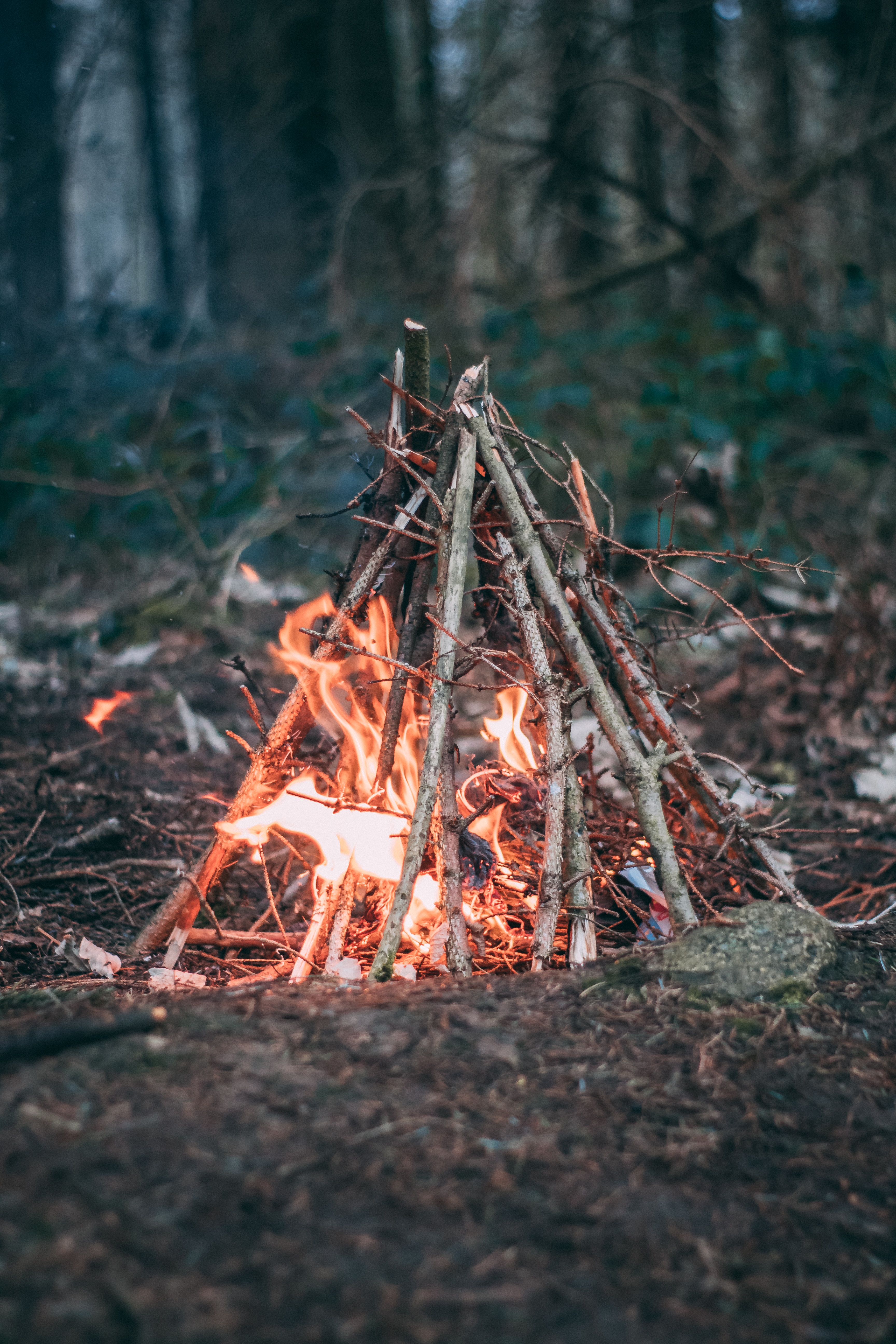 75949 télécharger l'image bonfire, nature, feu, branches, camping - fonds d'écran et économiseurs d'écran gratuits