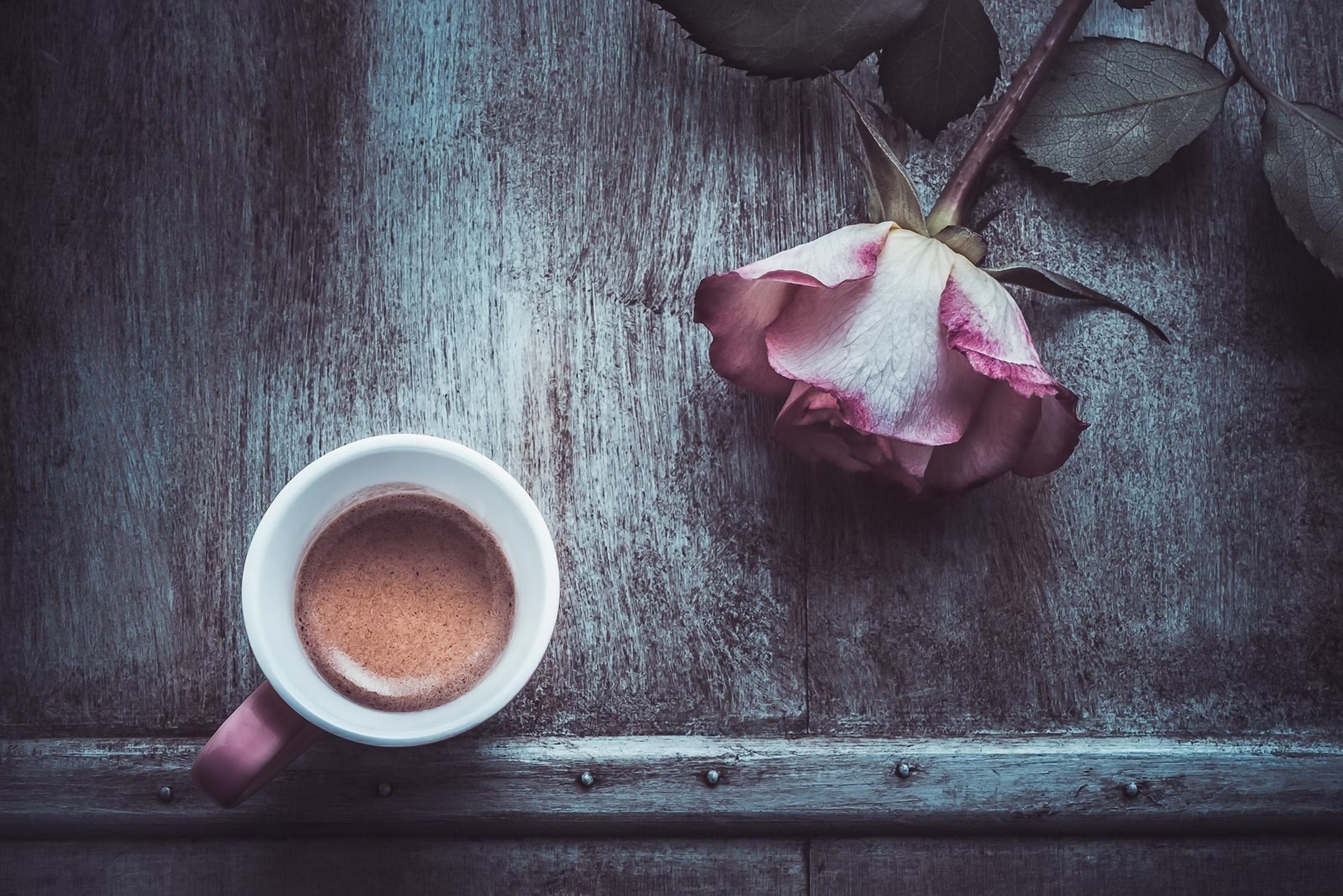 Download mobile wallpaper Food, Coffee, Rose for free.