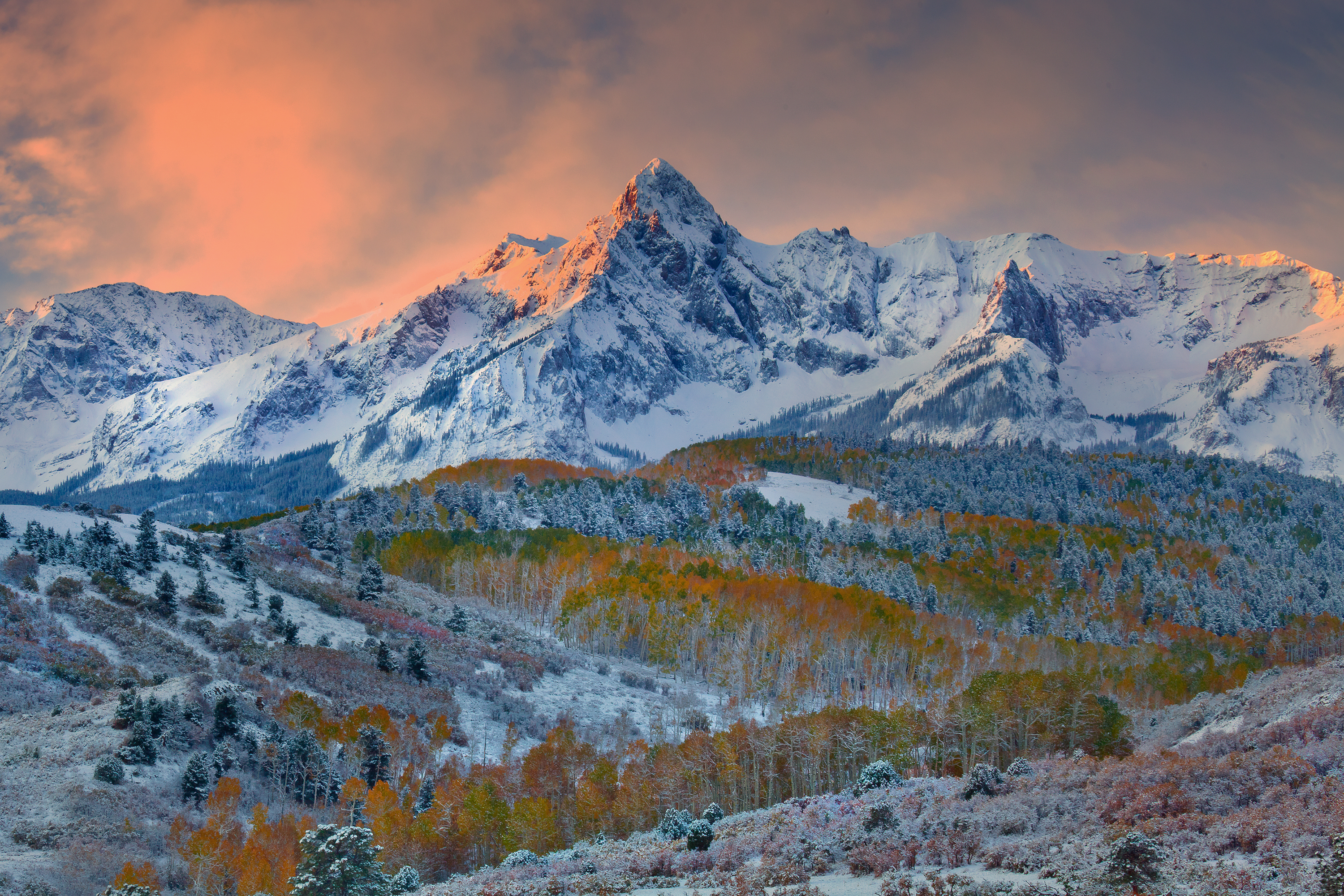 Descarga gratis la imagen Invierno, Nieve, Montaña, Bosque, Árbol, Tierra/naturaleza en el escritorio de tu PC