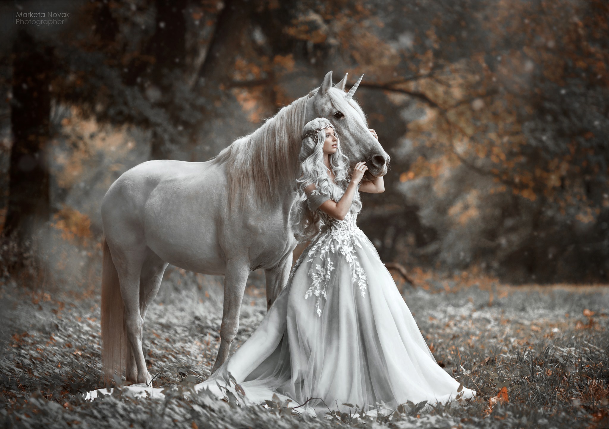 PCデスクトップに馬, 白髪, モデル, 女性, 長い髪, ホワイトドレス画像を無料でダウンロード