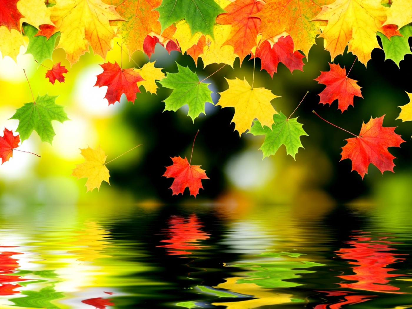 33652 скачать картинку осень, фон, листья - обои и заставки бесплатно