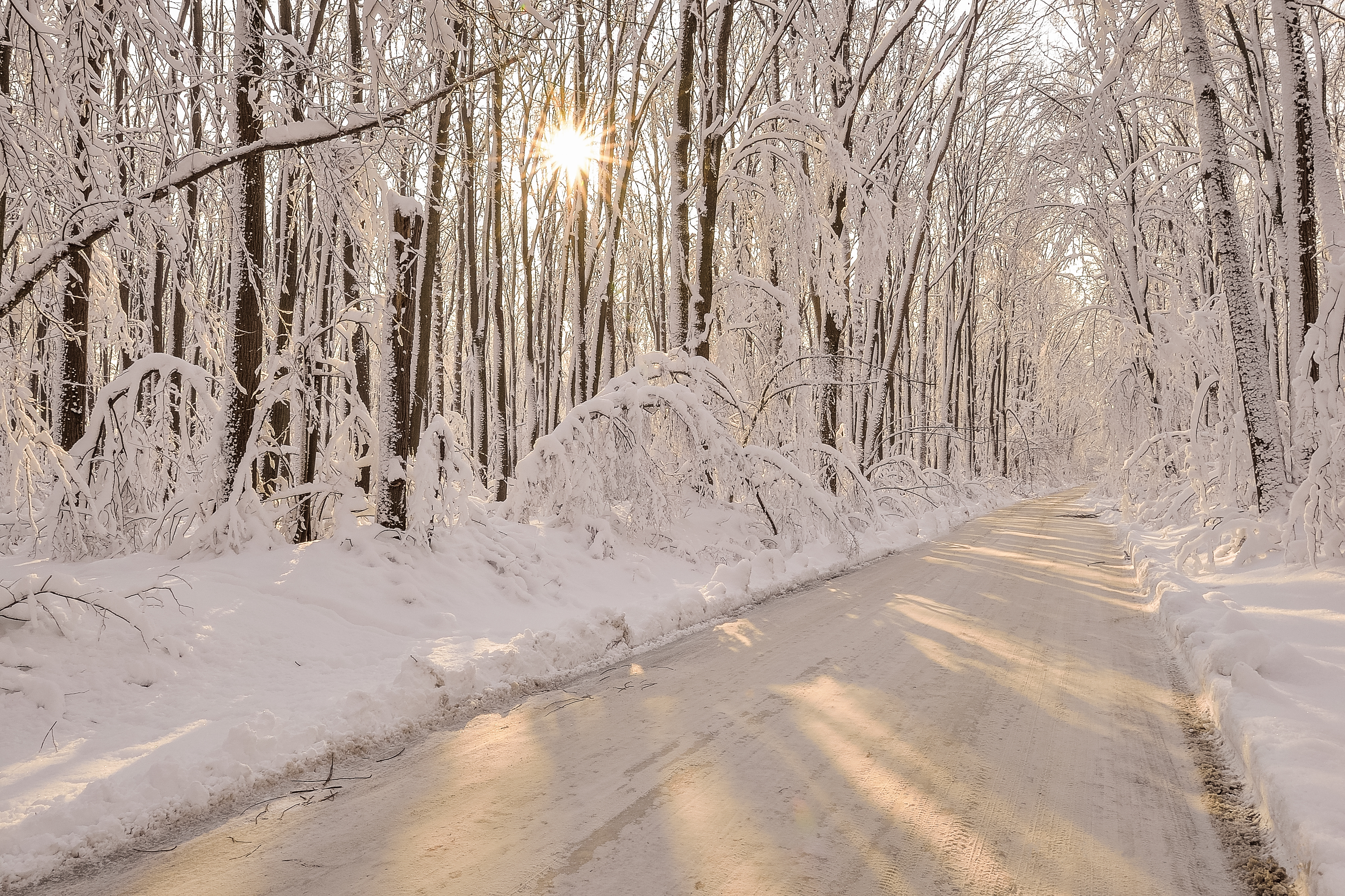 Download mobile wallpaper Winter, Sun, Snow, Road, Forest, Earth, Sunshine for free.
