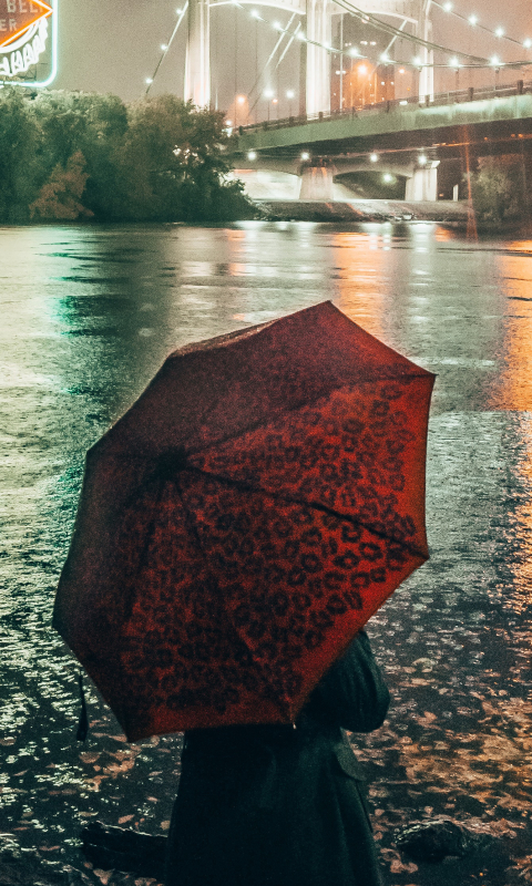 Download mobile wallpaper Night, Bridge, Umbrella, Rear, Women for free.