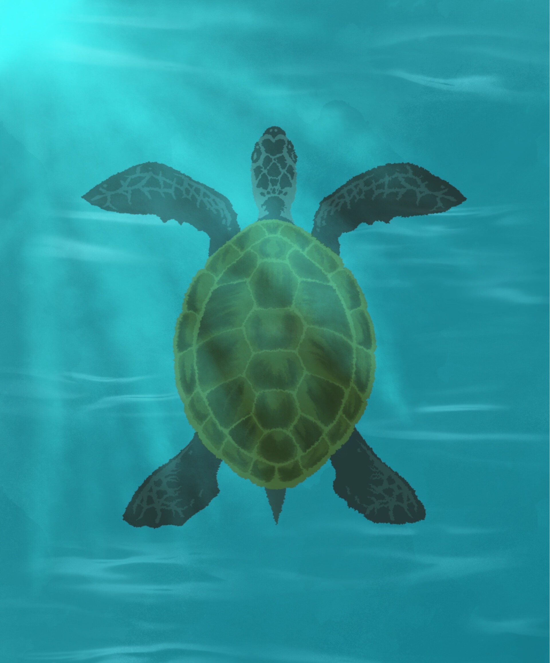 99950 скачать обои черепаха, арт, панцирь, вода, блики - заставки и картинки бесплатно