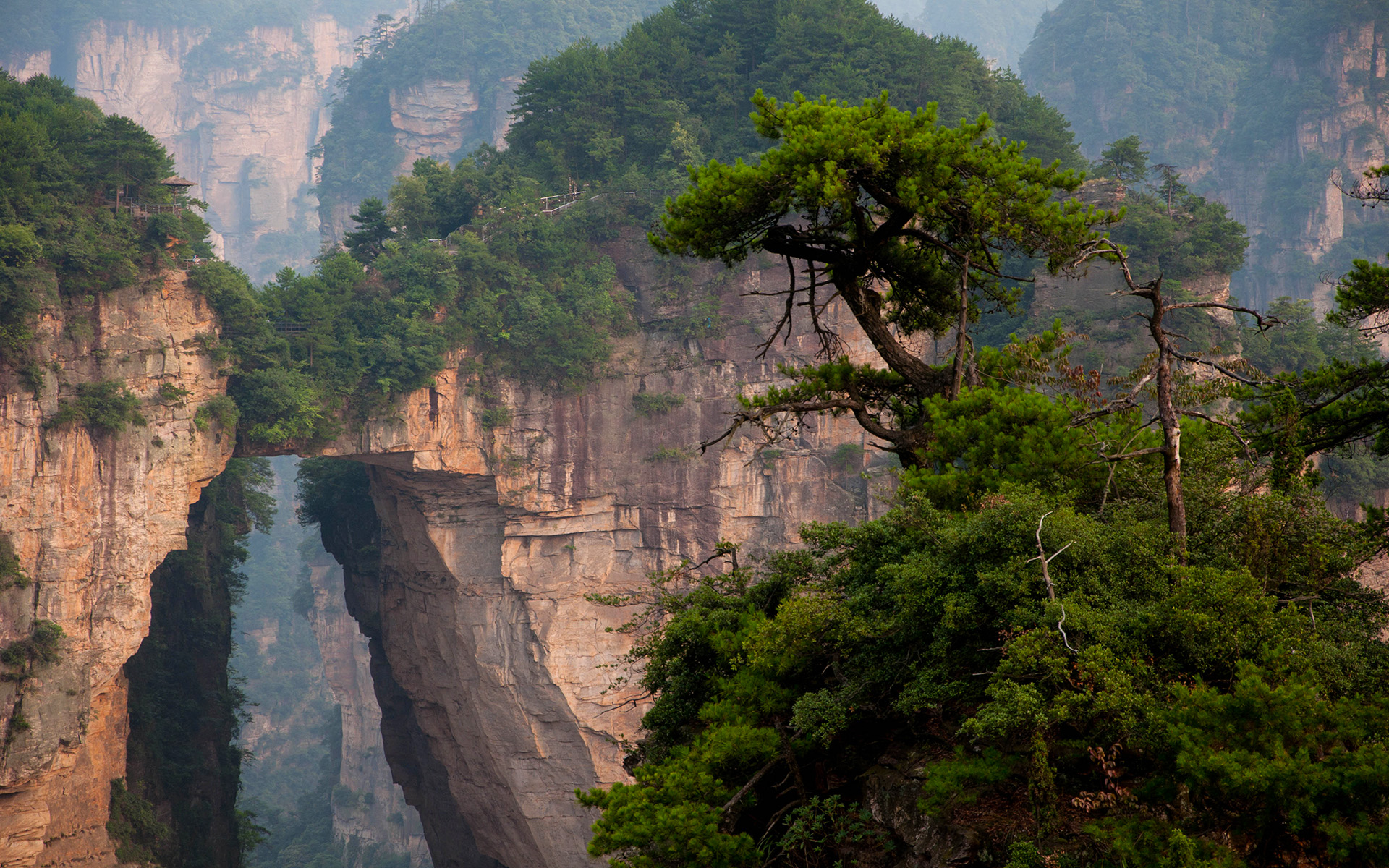 Скачать обои Национальный Лесной Парк Чжанцзяцзе на телефон бесплатно
