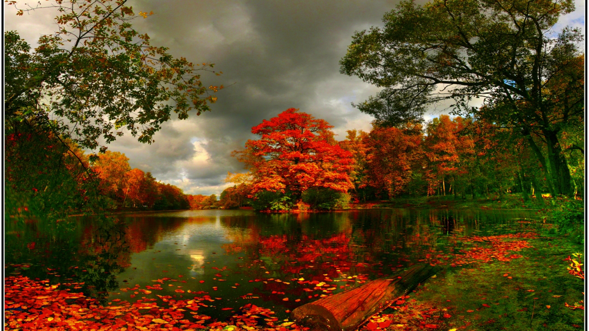 671175壁紙のダウンロード地球, 秋, 自然, 池, 木-スクリーンセーバーと写真を無料で