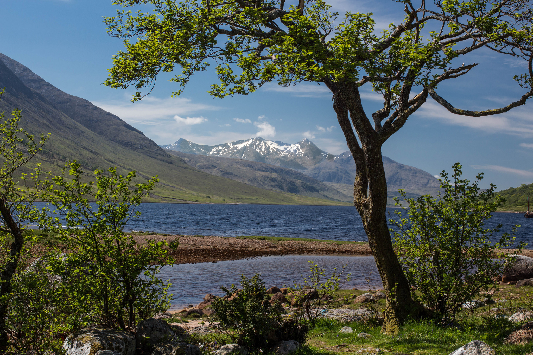 Laden Sie das Landschaft, Sommer, Seen, See, Baum, Gebirge, Erde/natur-Bild kostenlos auf Ihren PC-Desktop herunter