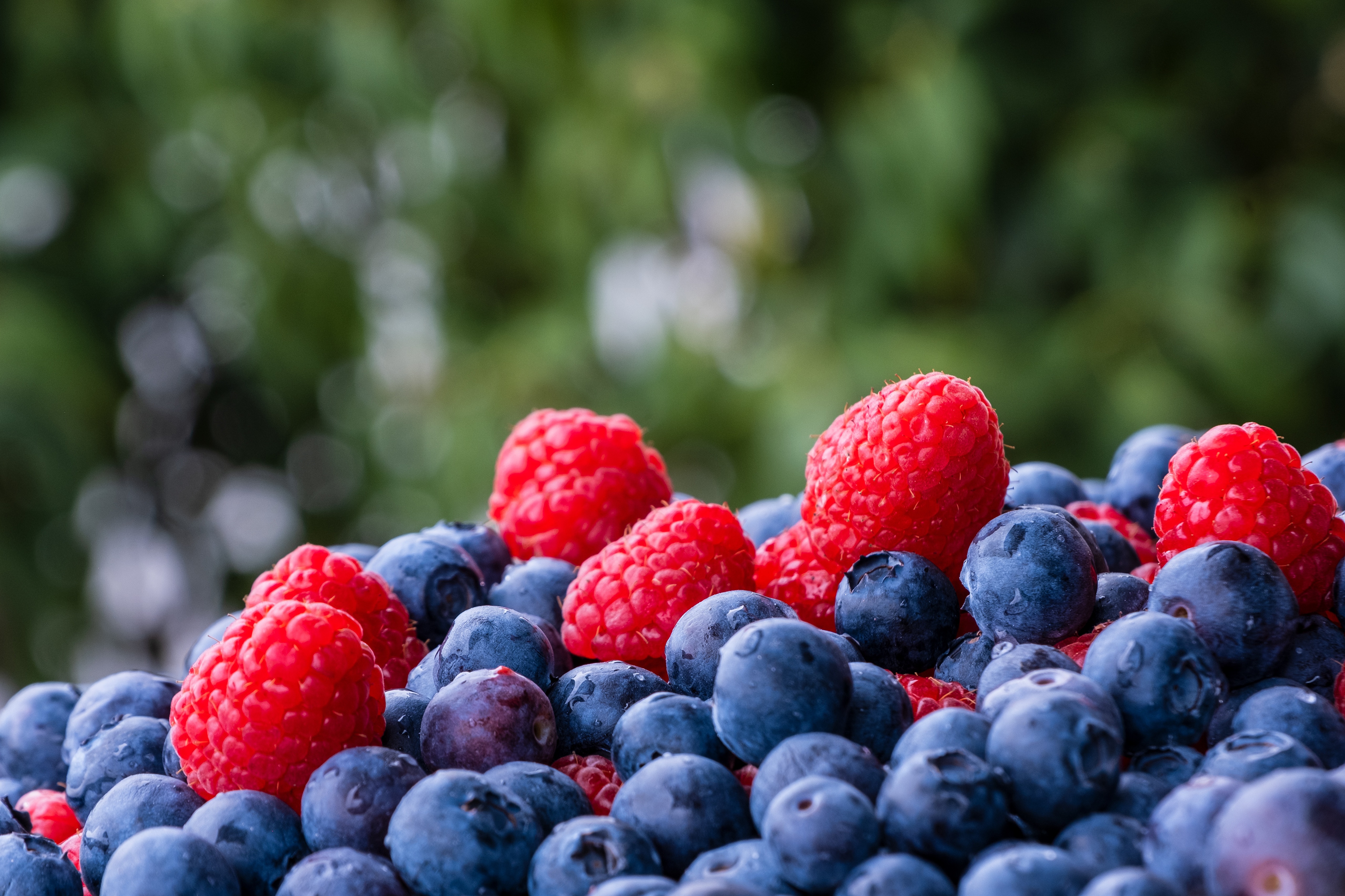 Free download wallpaper Food, Blueberry, Raspberry, Berry, Fruit on your PC desktop