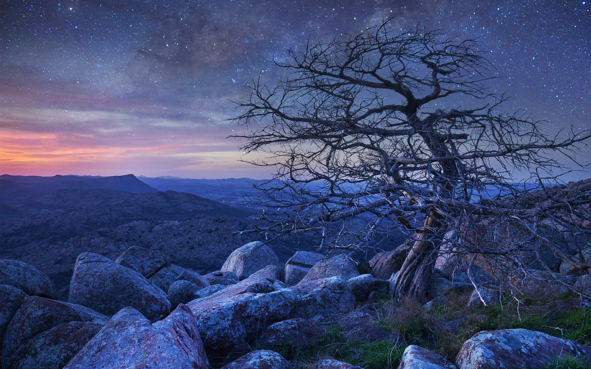 Download mobile wallpaper Trees, Stars, Twilight, Horizon, Mountain, Tree, Starry Sky, Earth for free.