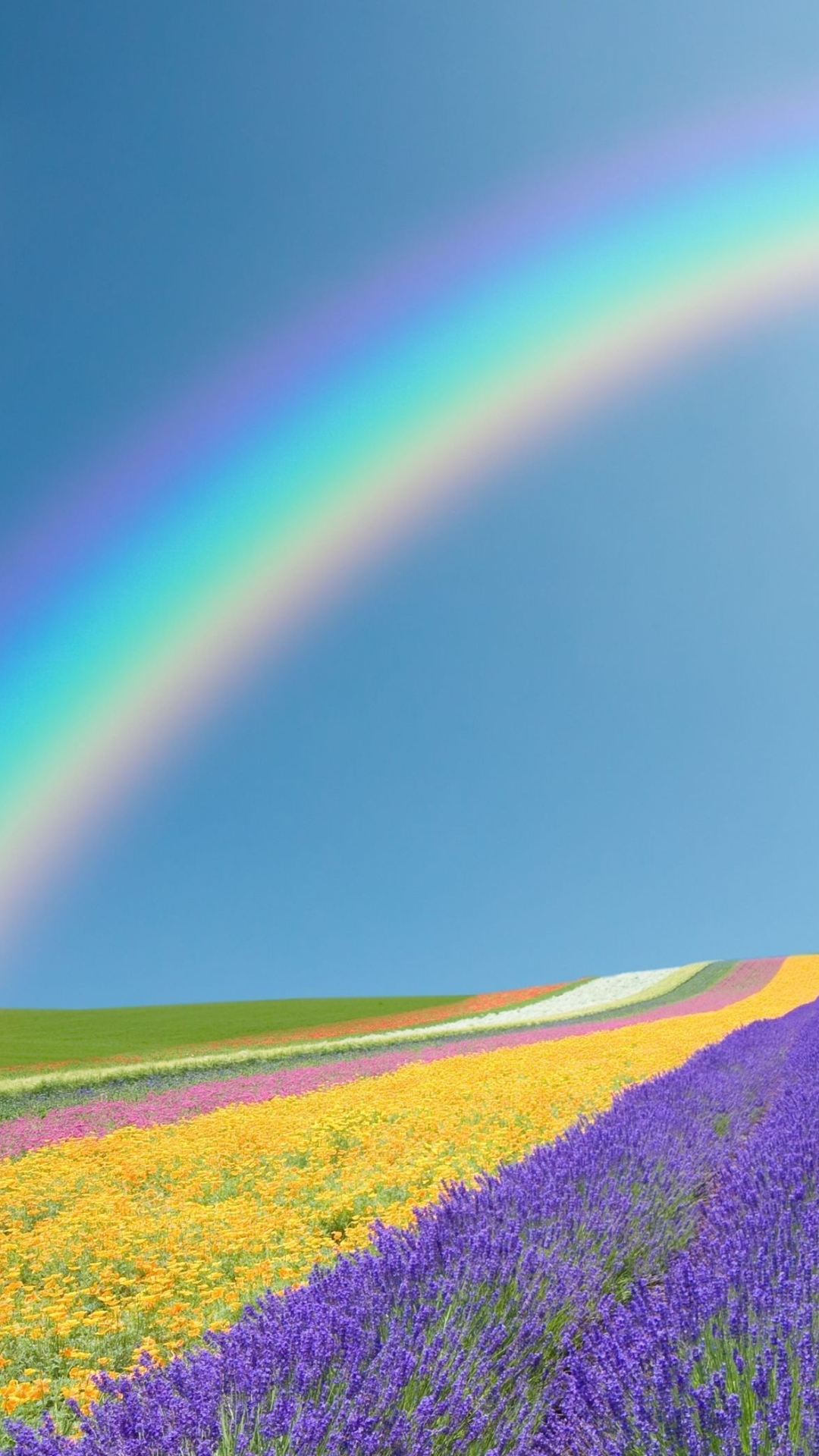 Download mobile wallpaper Nature, Rainbow, Horizon, Earth, Field, Spring, Sunny for free.