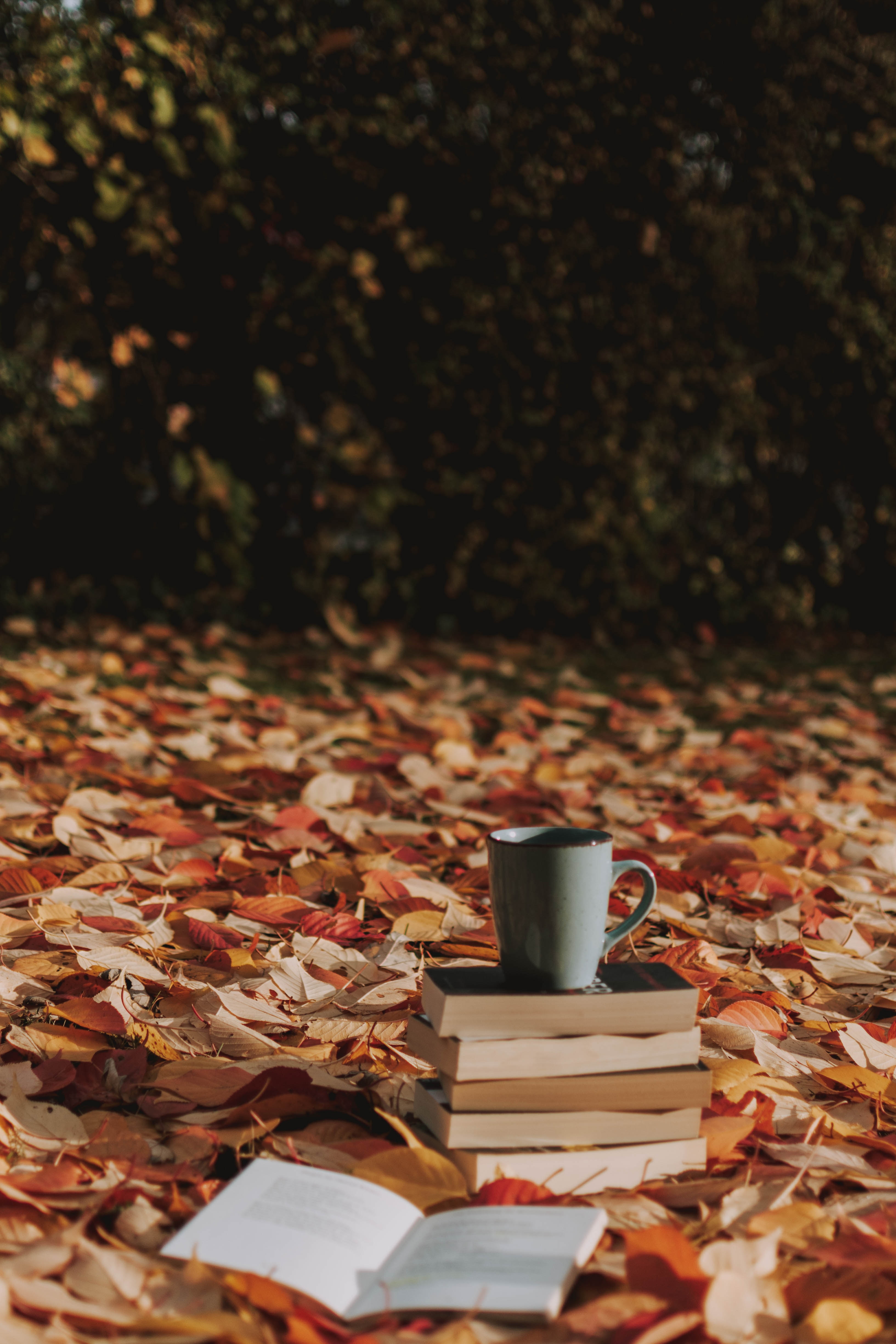 books, autumn, cup, miscellanea, miscellaneous, foliage, mug
