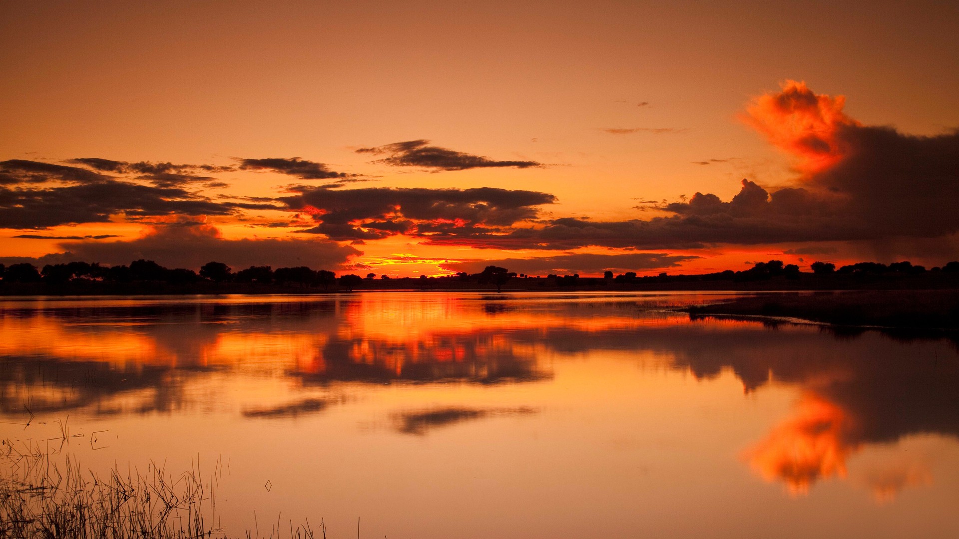 Baixe gratuitamente a imagem Terra/natureza, Reflecção na área de trabalho do seu PC