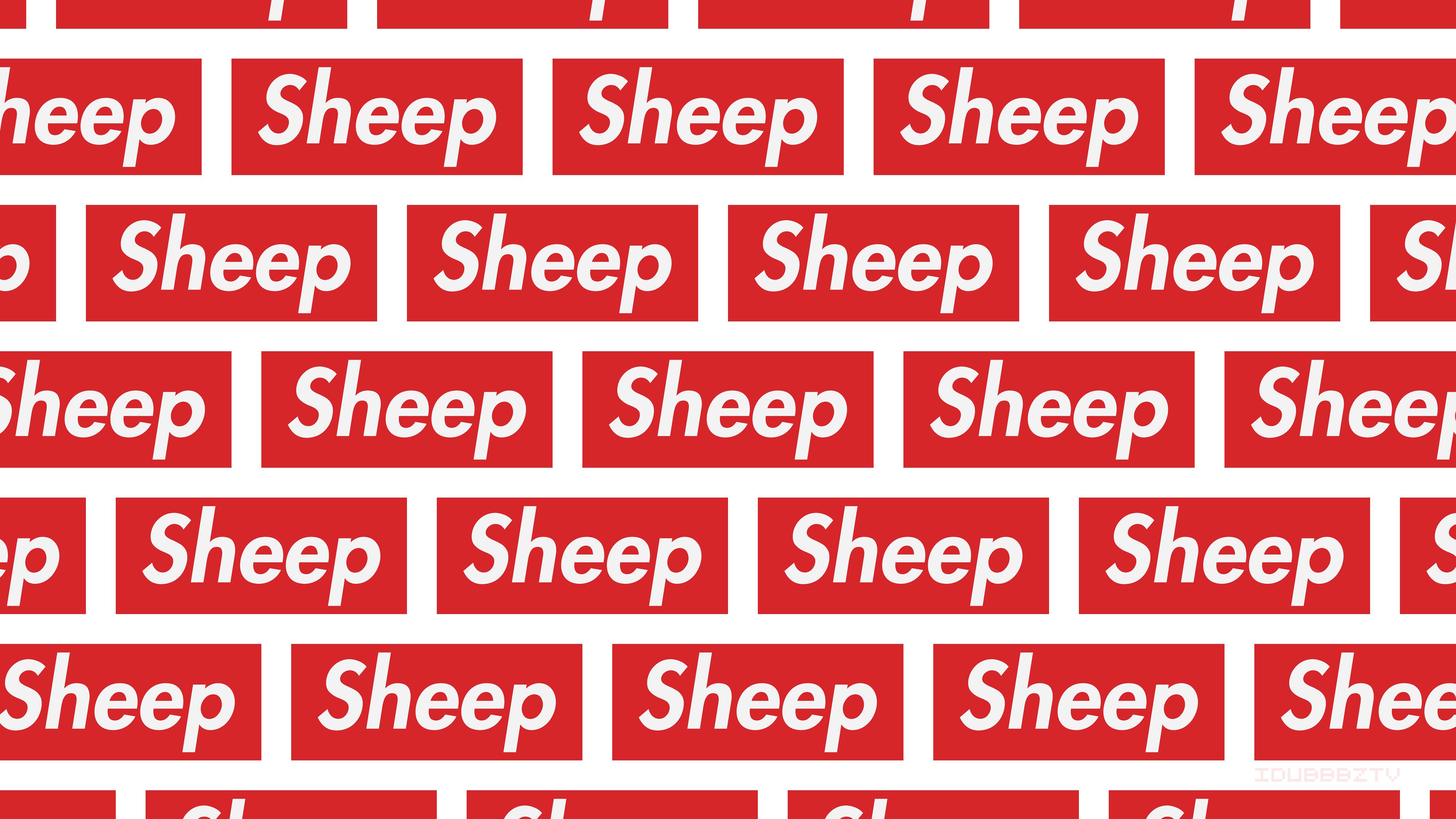 873871 скачать картинку продукты, верховный, юмор, овца - обои и заставки бесплатно