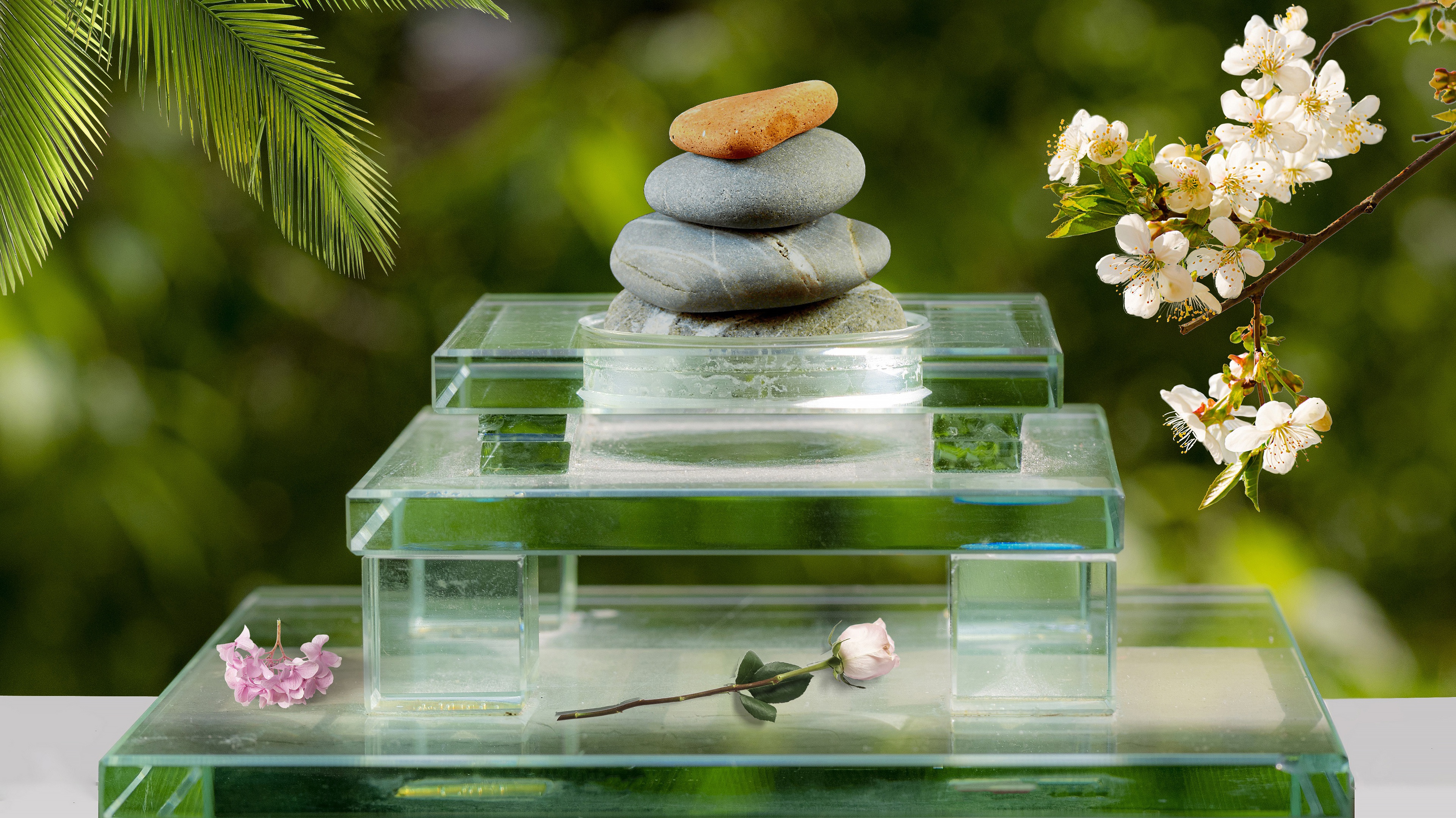 Laden Sie das Kiesel, Blume, Rose, Stein, Entspannen, Zen, Religiös-Bild kostenlos auf Ihren PC-Desktop herunter