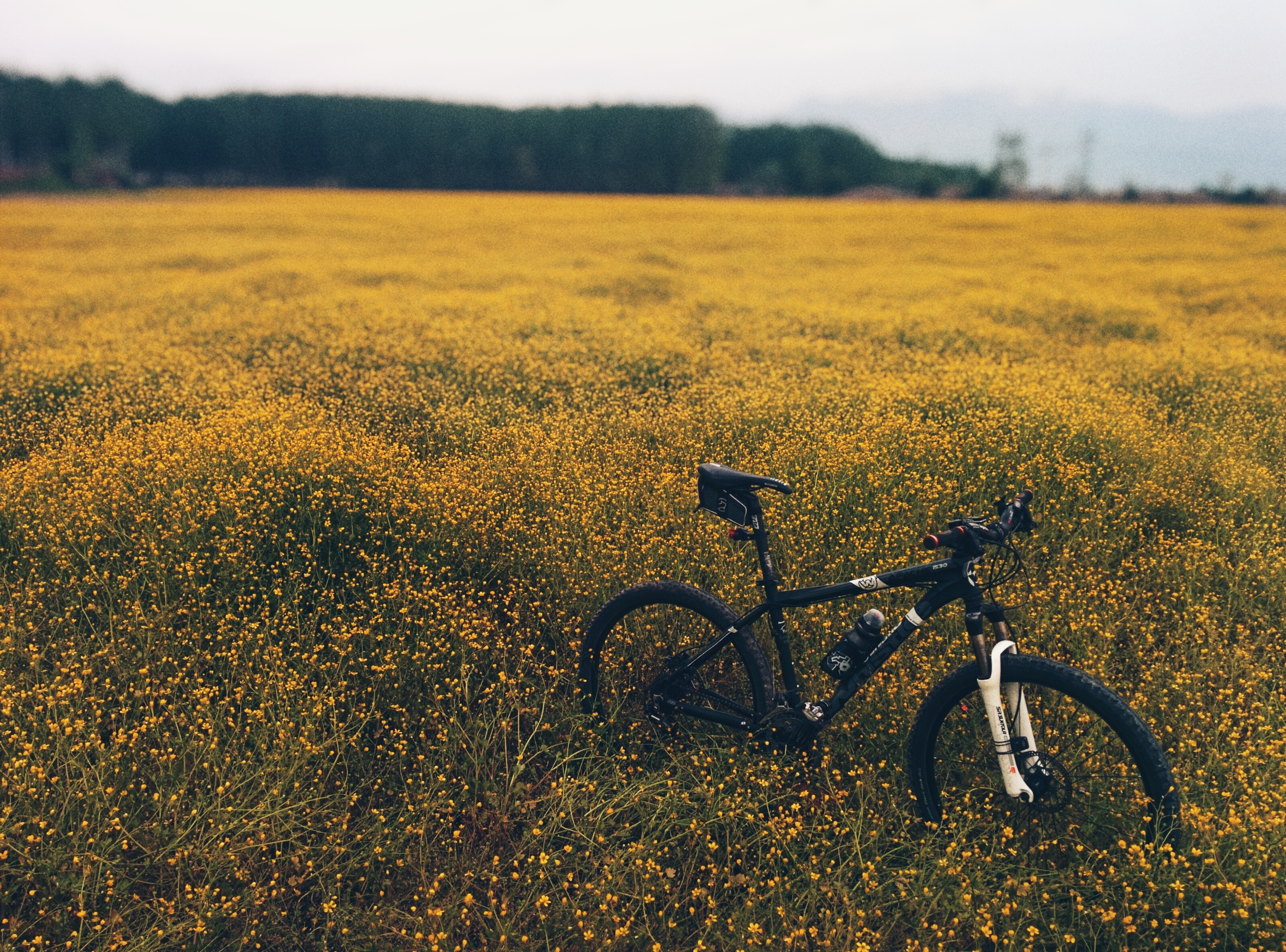Free download wallpaper Nature, Flowers, Grass, Field, Bicycle, Meadow on your PC desktop