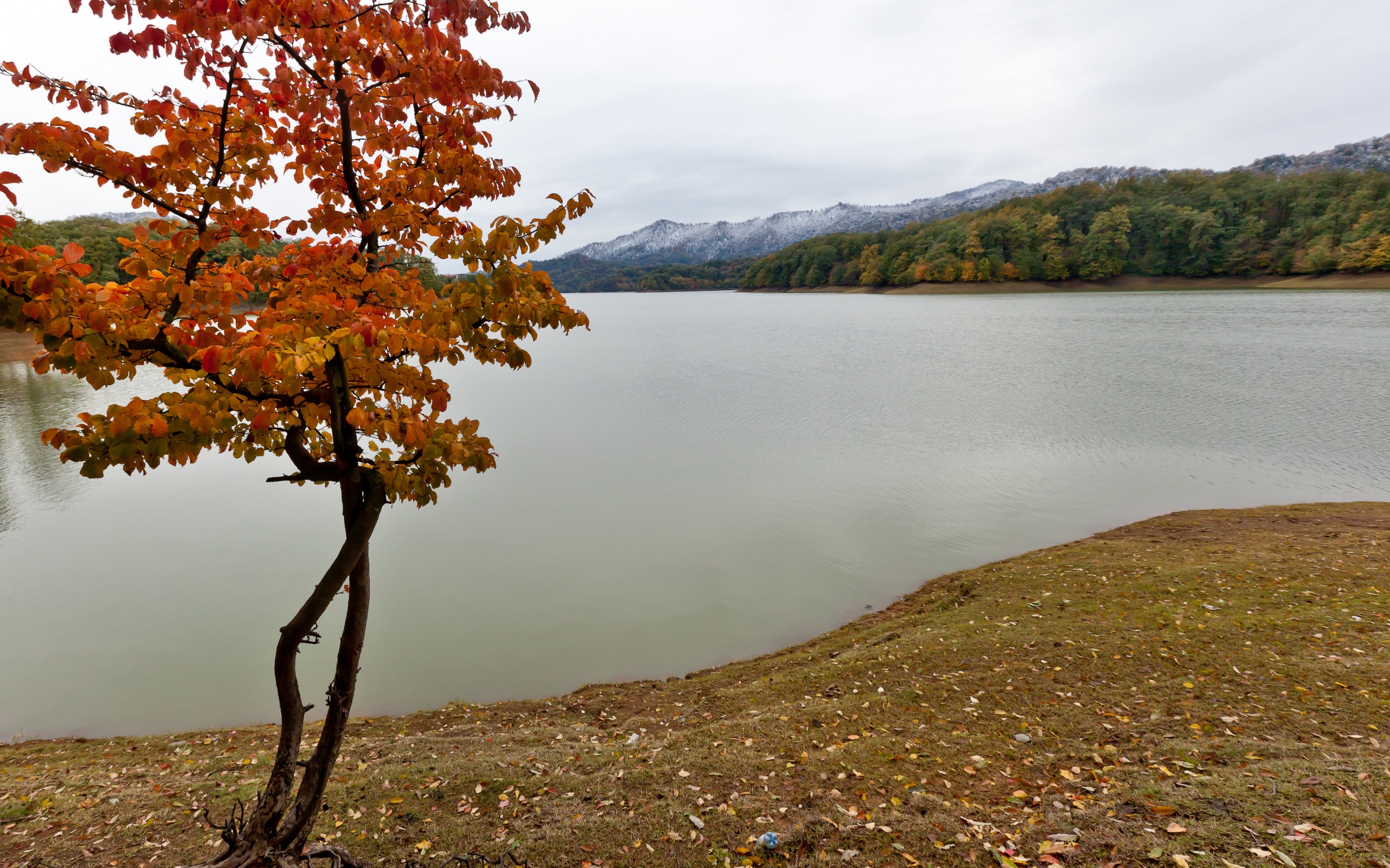 Baixe gratuitamente a imagem Paisagem, Água, Outono, Lago, Árvore, Terra/natureza na área de trabalho do seu PC