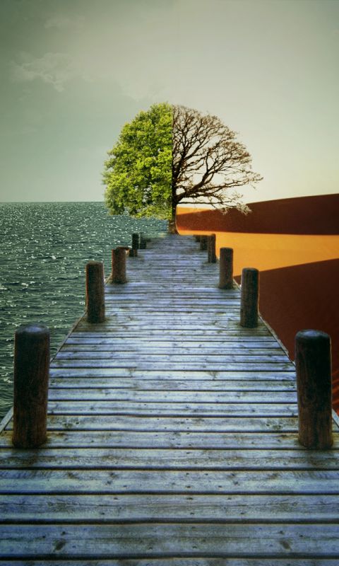 Download mobile wallpaper Sea, Sand, Desert, Pier, Tree, Artistic, Lonely Tree for free.
