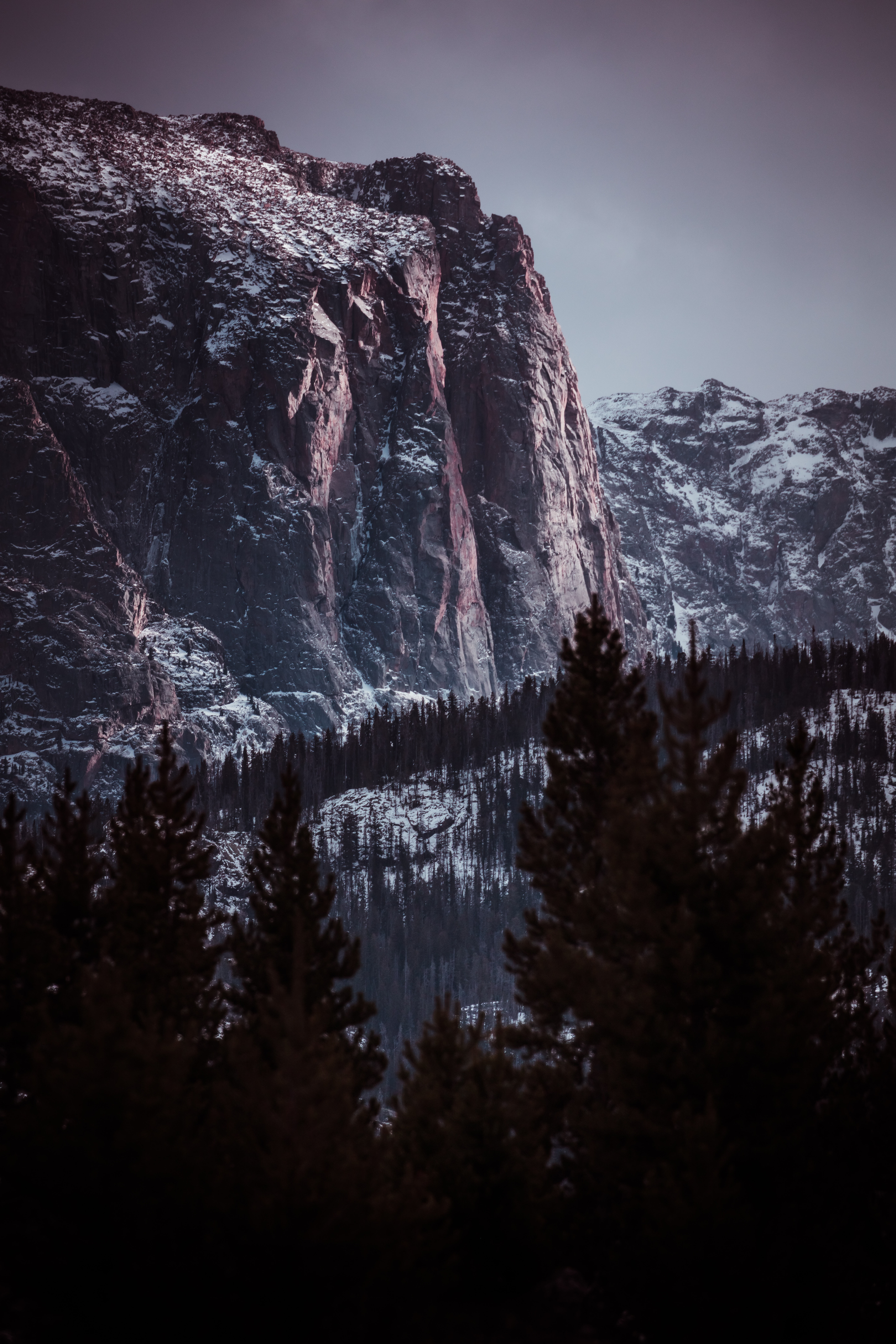 PCデスクトップに自然, 木, 岩, 雪に覆われた, 積雪, 山脈, 風景画像を無料でダウンロード