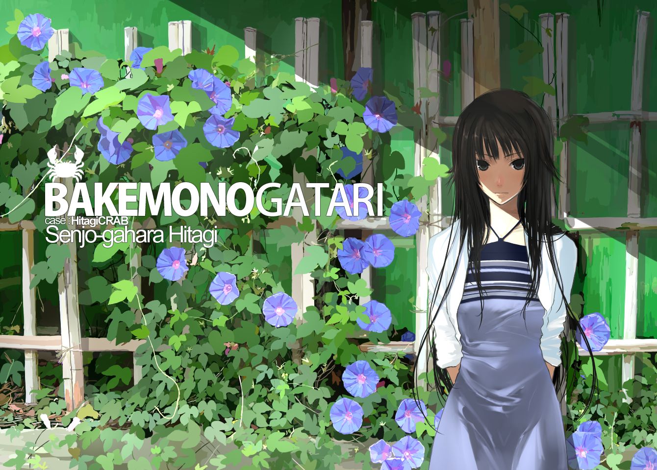 anime, monogatari (series), bakemonogatari, black hair, hitagi senjōgahara HD wallpaper