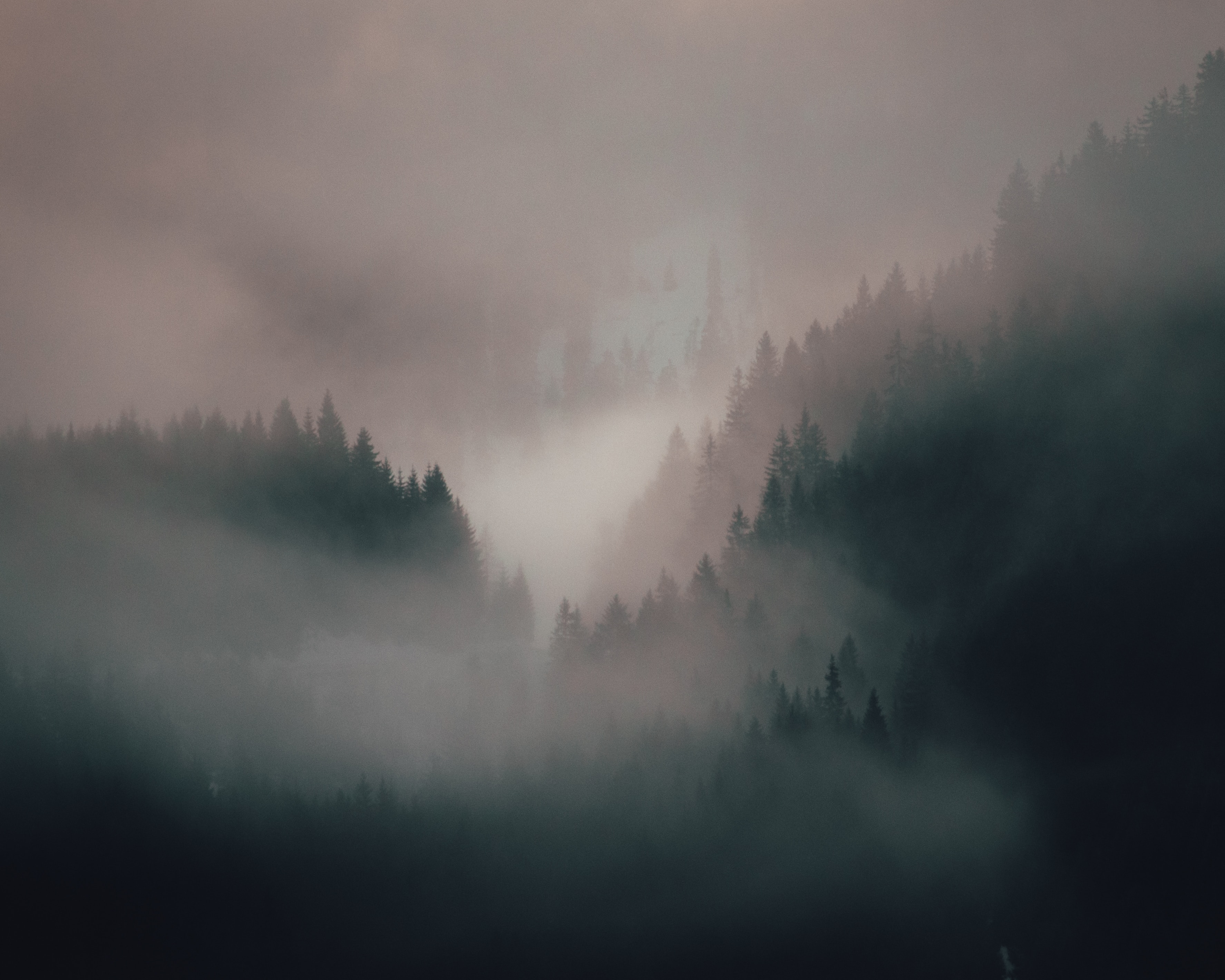 Free download wallpaper Nature, Hills, Trees, Fog, Forest on your PC desktop