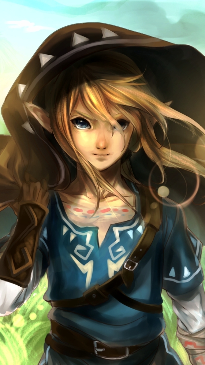 Download mobile wallpaper Link, Video Game, Long Hair, Zelda for free.