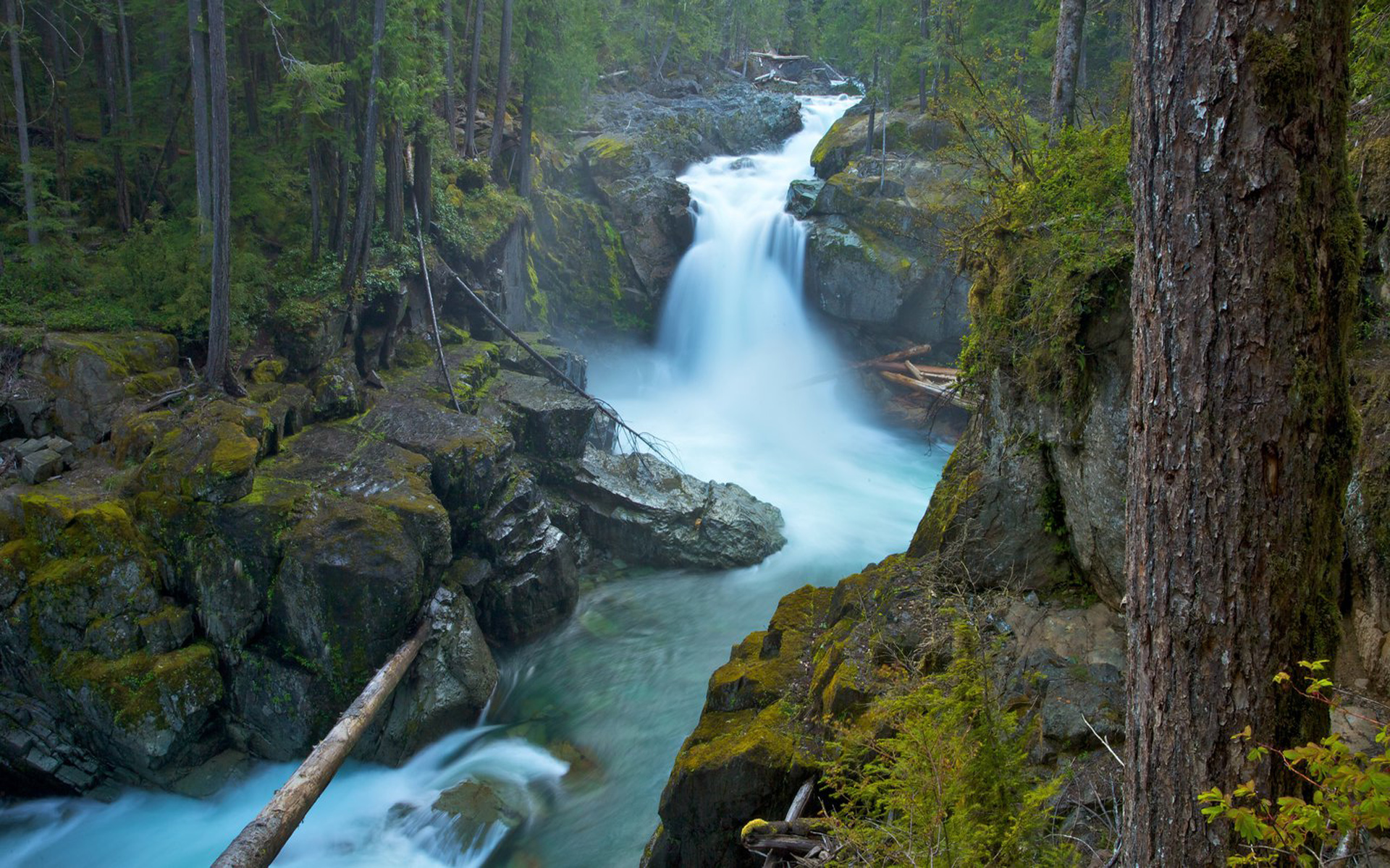 Descarga gratuita de fondo de pantalla para móvil de Cascadas, Cascada, Bosque, Árbol, Chorro, Tierra/naturaleza.