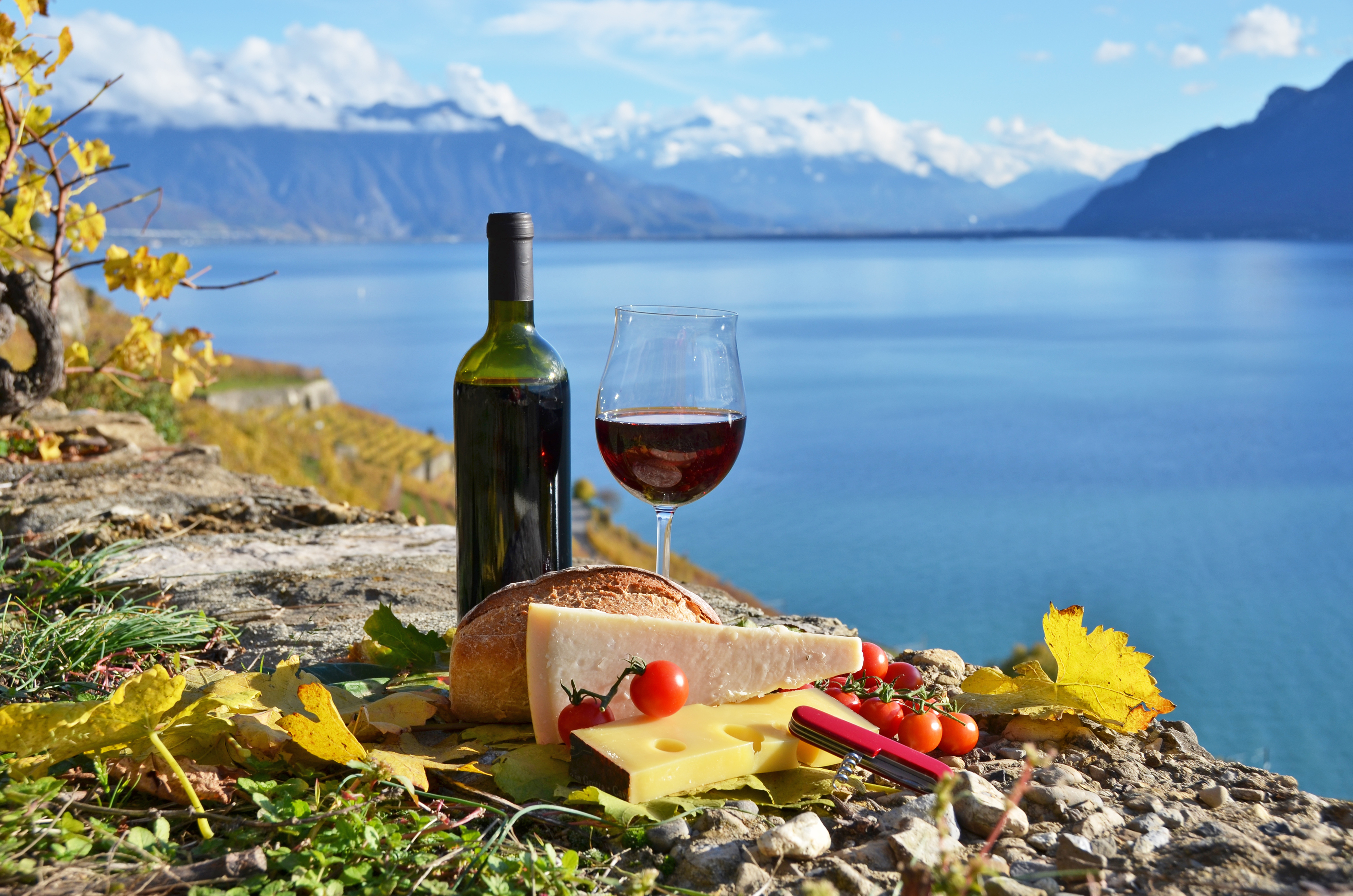 Laden Sie das Wein, Glas, Käse, Nahrungsmittel-Bild kostenlos auf Ihren PC-Desktop herunter