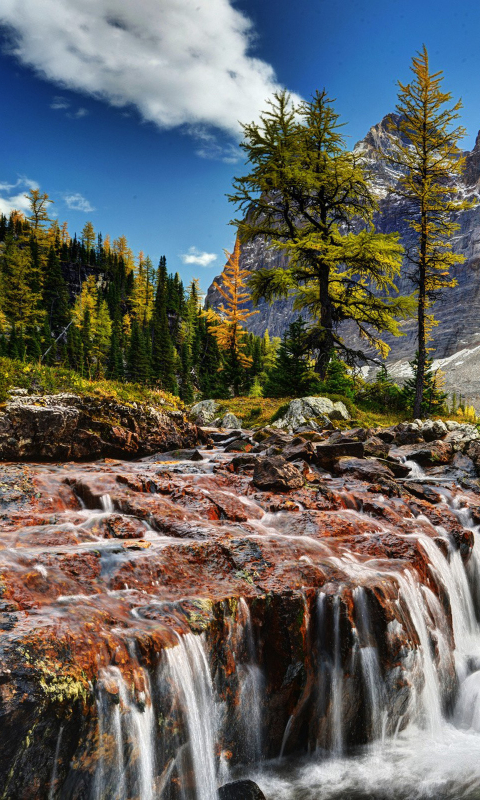 Descarga gratuita de fondo de pantalla para móvil de Paisaje, Montaña, Árbol, Acantilado, Chorro, Tierra/naturaleza.