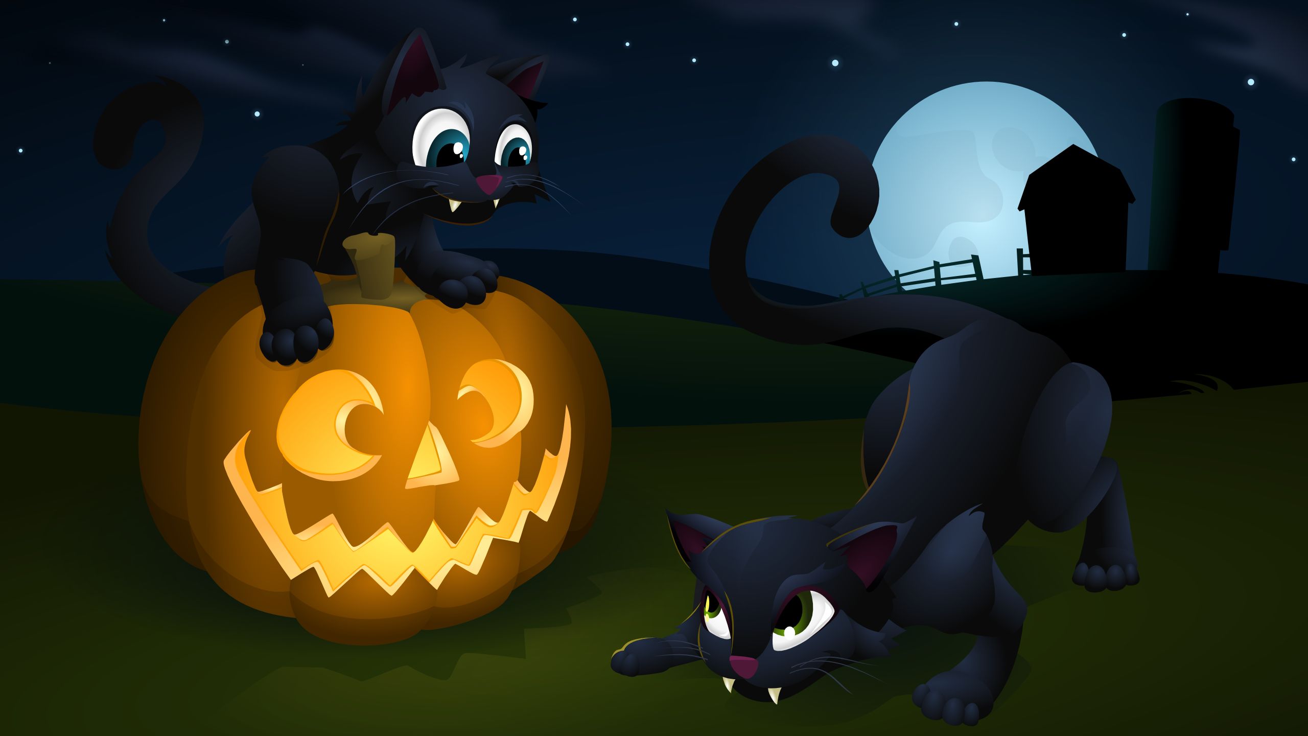 202952 скачать обои кот, праздничные, хэллоуин, полнолуние, фонарь джека - заставки и картинки бесплатно