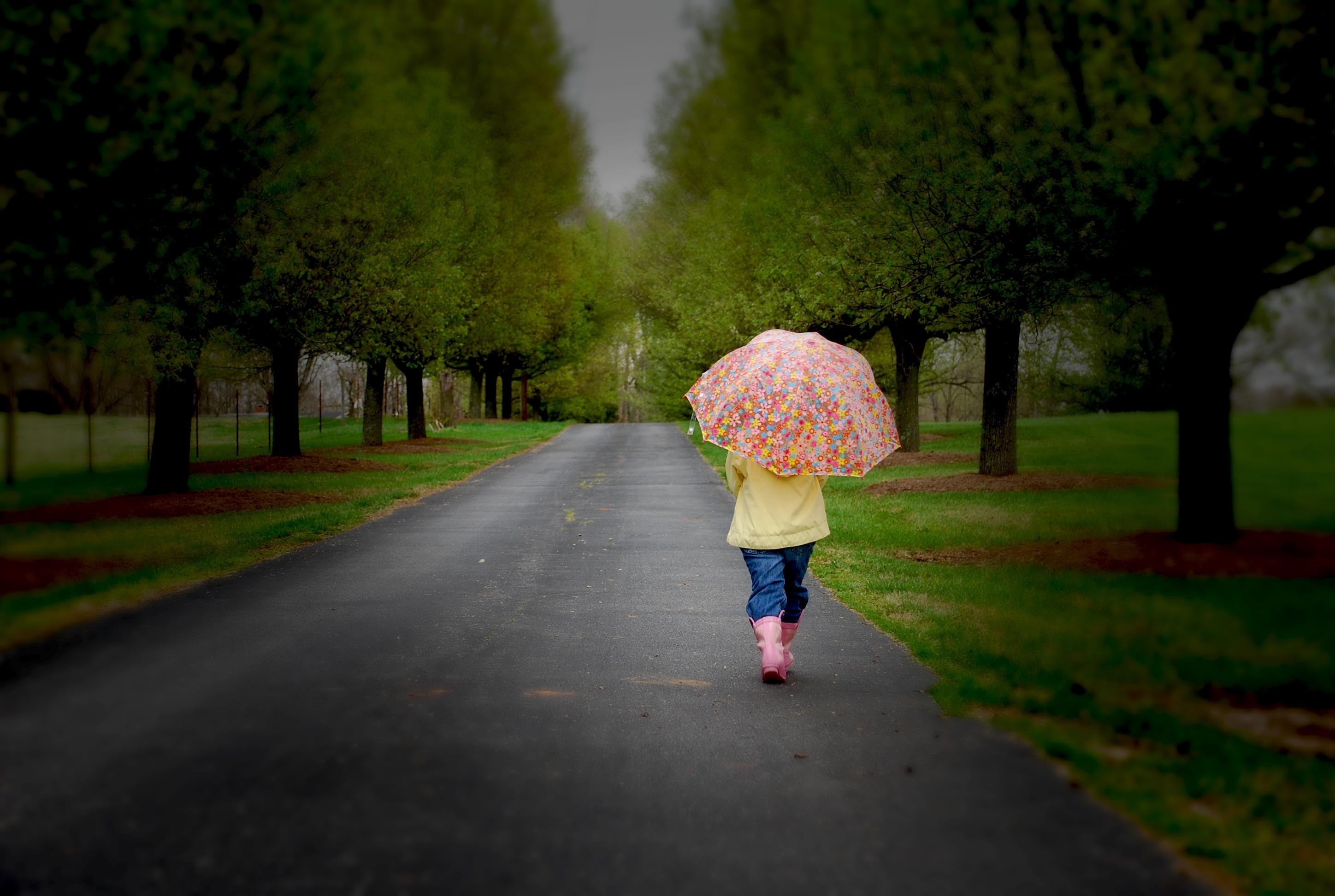 miscellanea, miscellaneous, wood, road, park, tree, stroll, mainly cloudy, overcast, umbrella