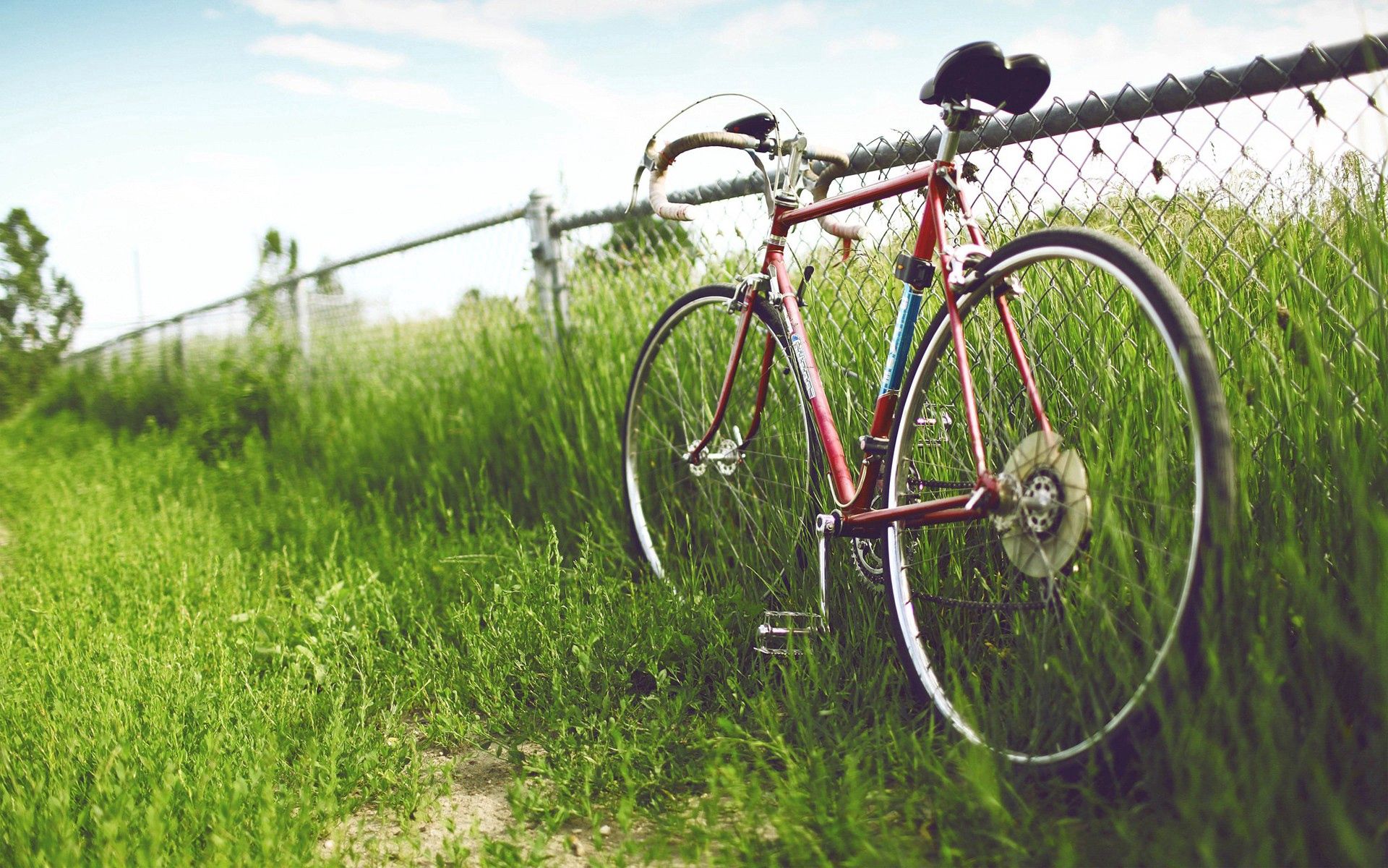 Download mobile wallpaper Grass, Miscellanea, Miscellaneous, Street, Bicycle for free.