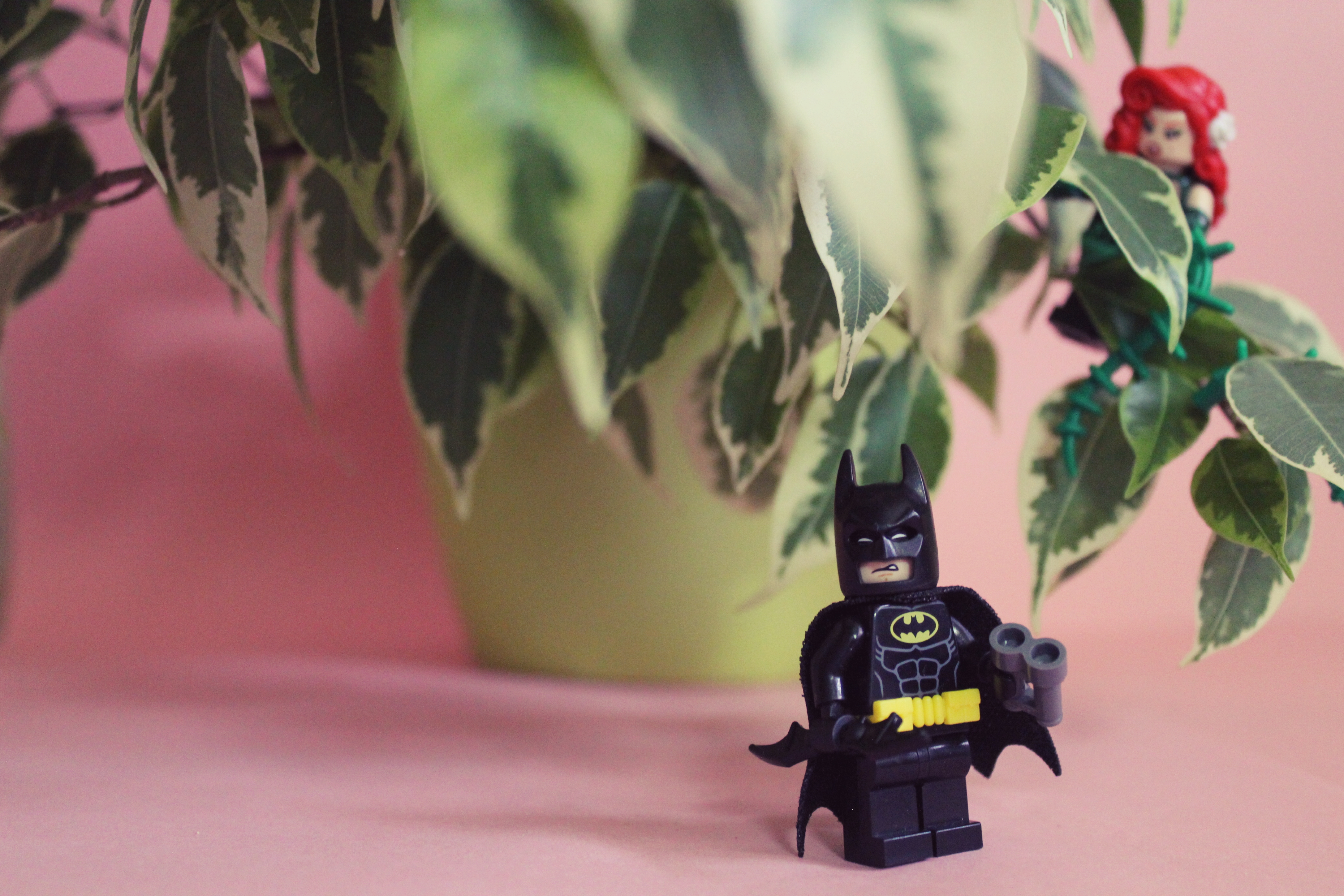 Laden Sie das Batman, Lego, Produkte-Bild kostenlos auf Ihren PC-Desktop herunter