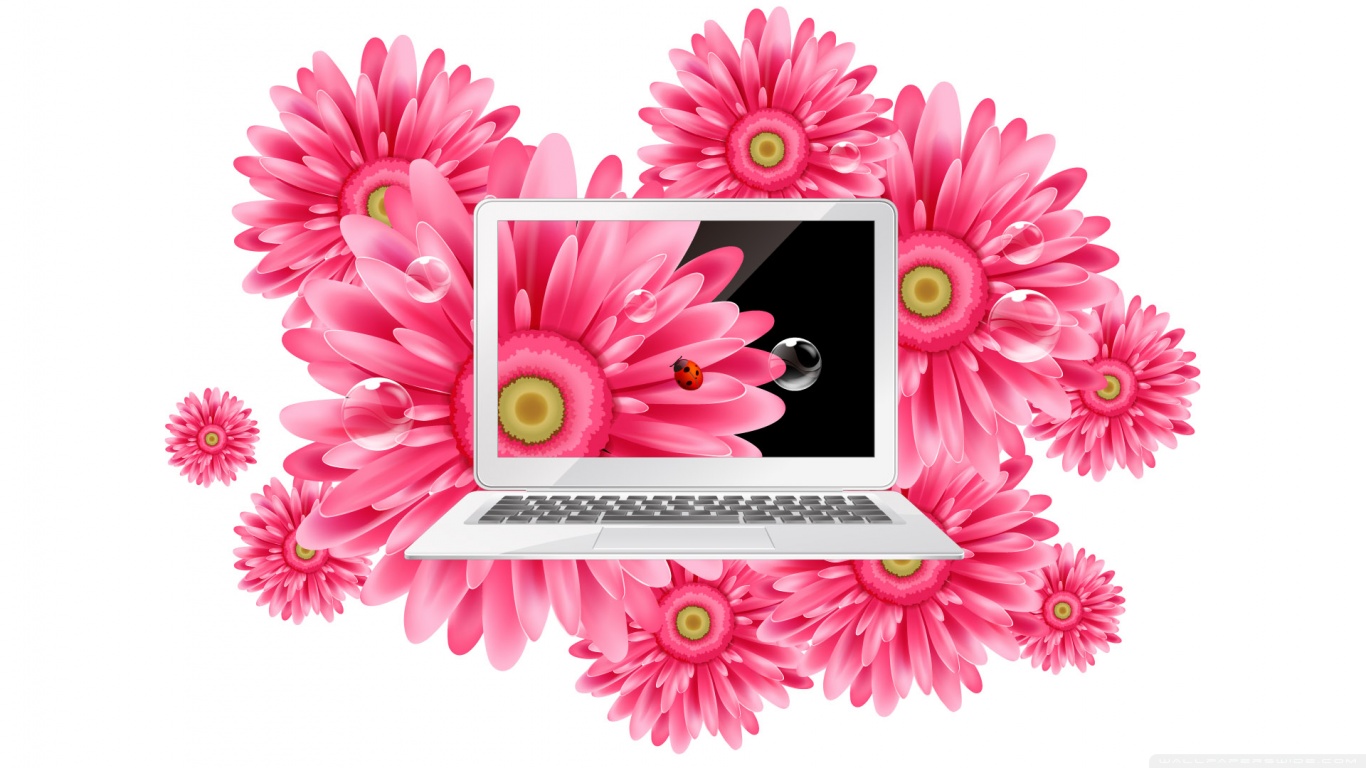 Laden Sie das Technologie, Laptop-Bild kostenlos auf Ihren PC-Desktop herunter
