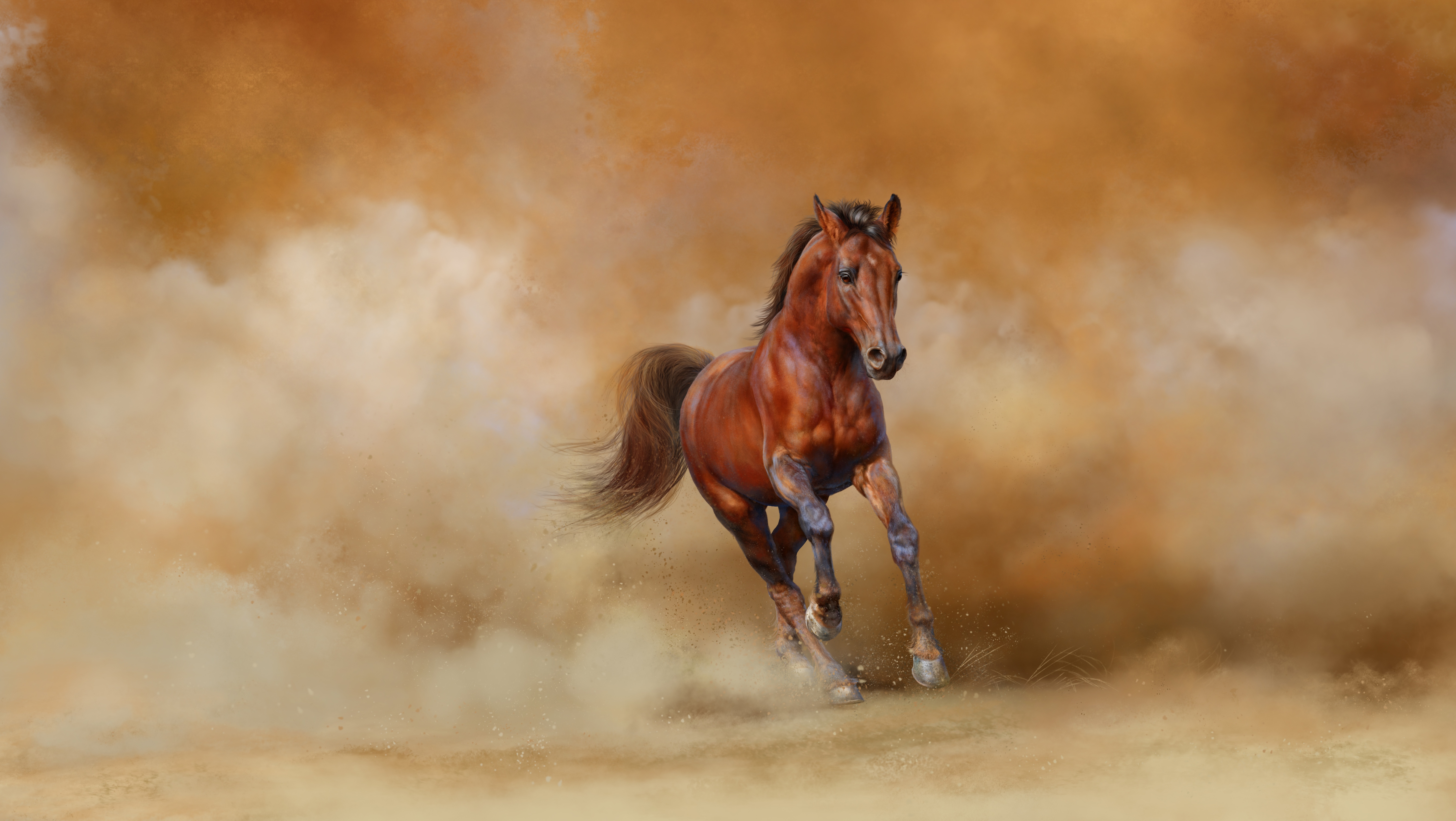 Free download wallpaper Animal, Horse on your PC desktop