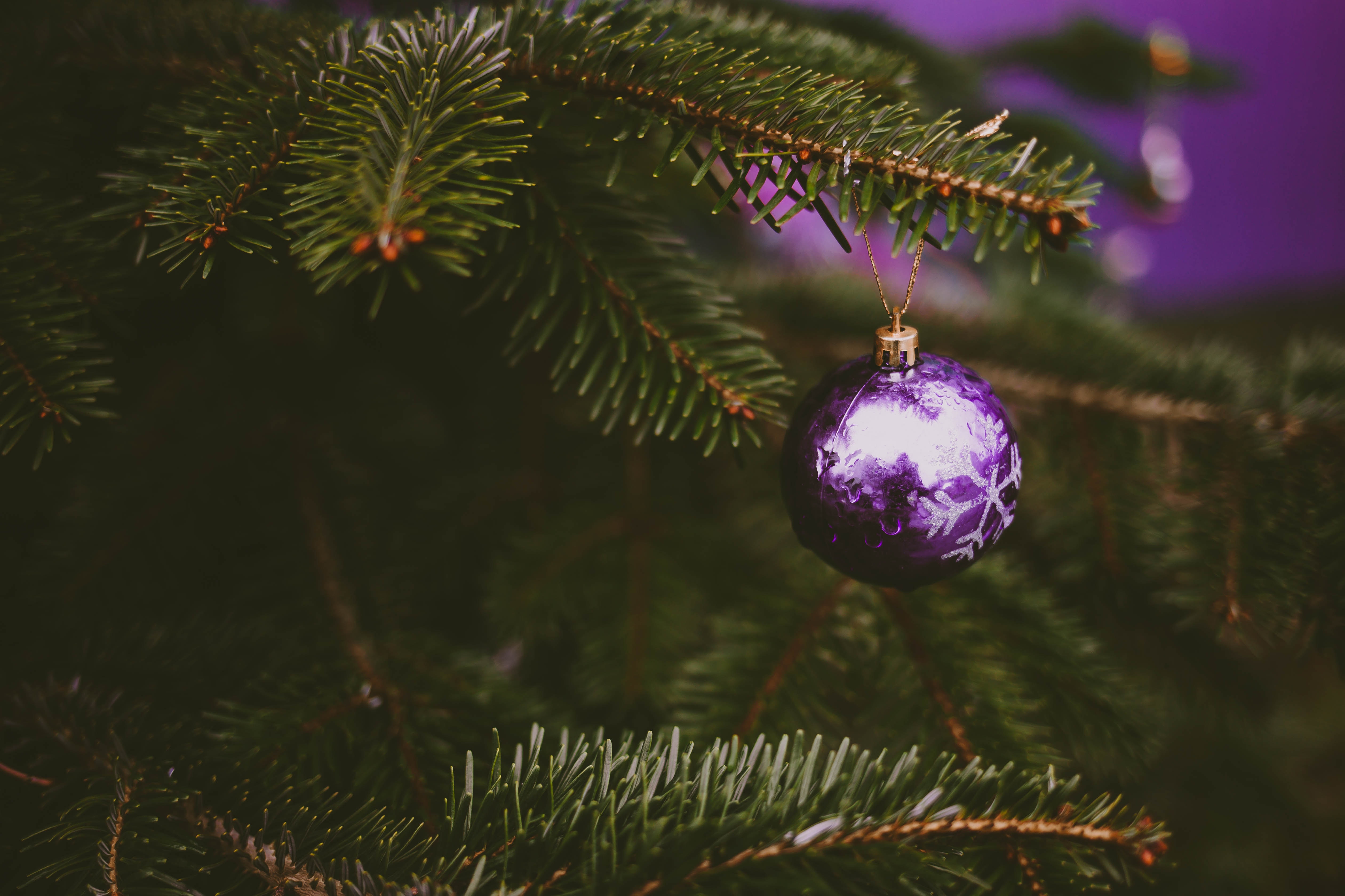 Download mobile wallpaper Decoration, Holiday, Holidays, Christmas Tree, Ball, Violet, Purple for free.