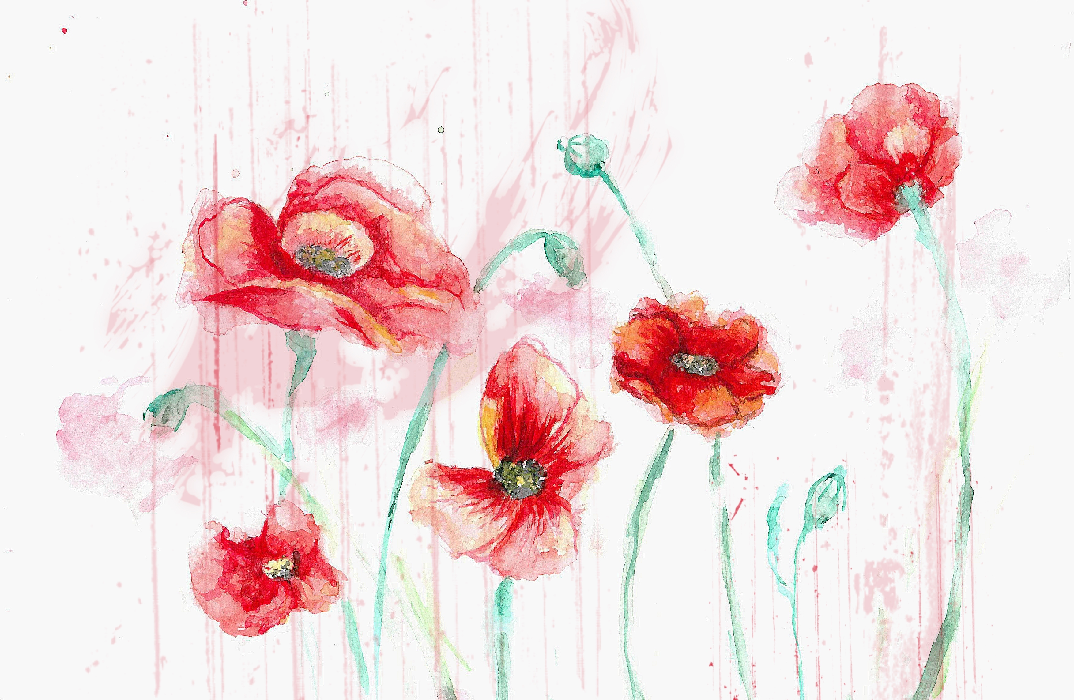 Handy-Wallpaper Blumen, Blume, Künstlerisch, Rote Blume, Wasserfarbe kostenlos herunterladen.