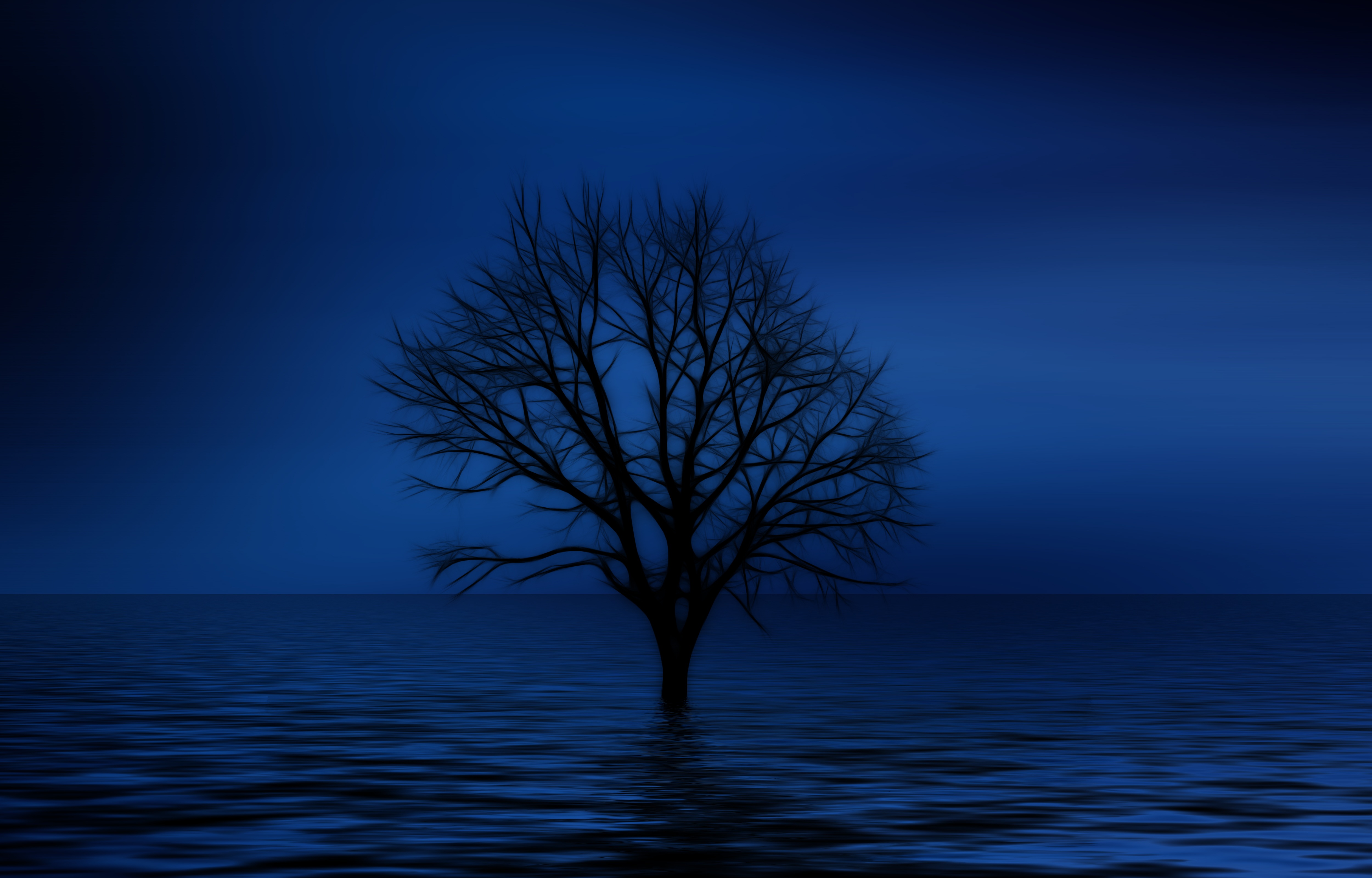 Скачать картинку Дерево, Синий, Художественные, Одинокое Дерево в телефон бесплатно.