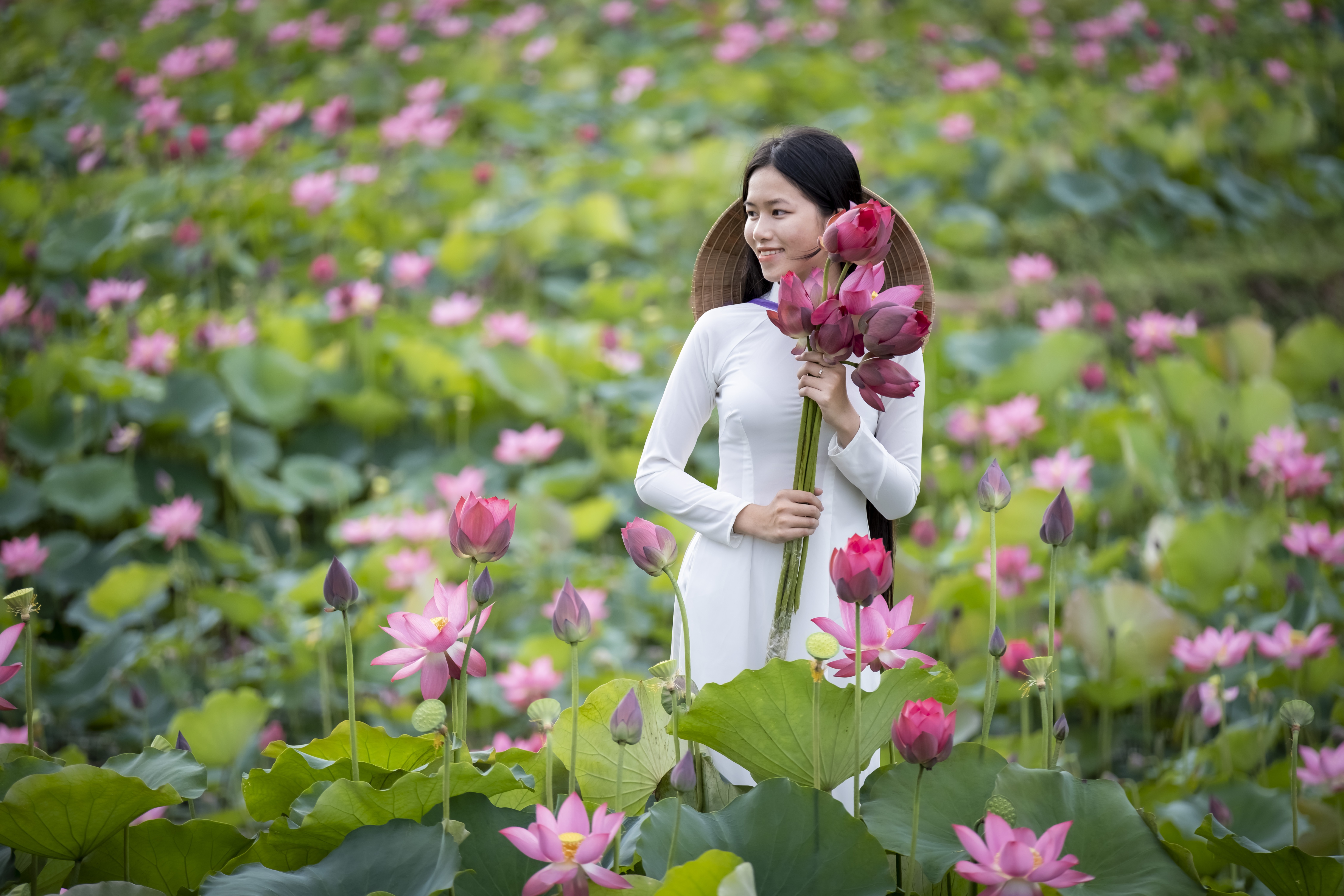 Laden Sie das Lotus, Frauen, Pinke Blume, Asiatinnen-Bild kostenlos auf Ihren PC-Desktop herunter