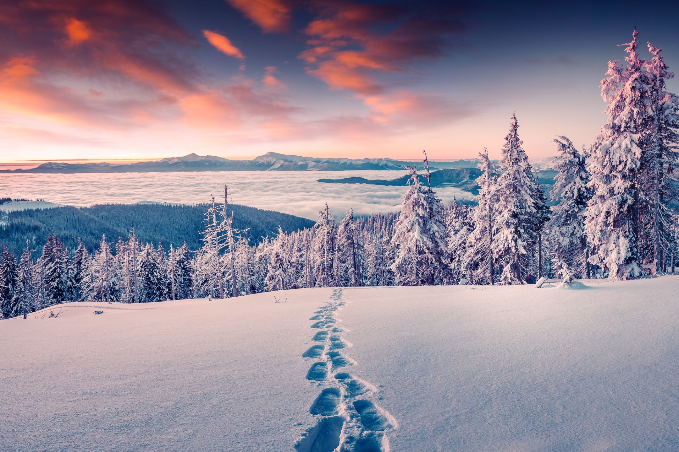 Free download wallpaper Landscape, Winter, Nature, Snow, Forest, Fog, Earth on your PC desktop