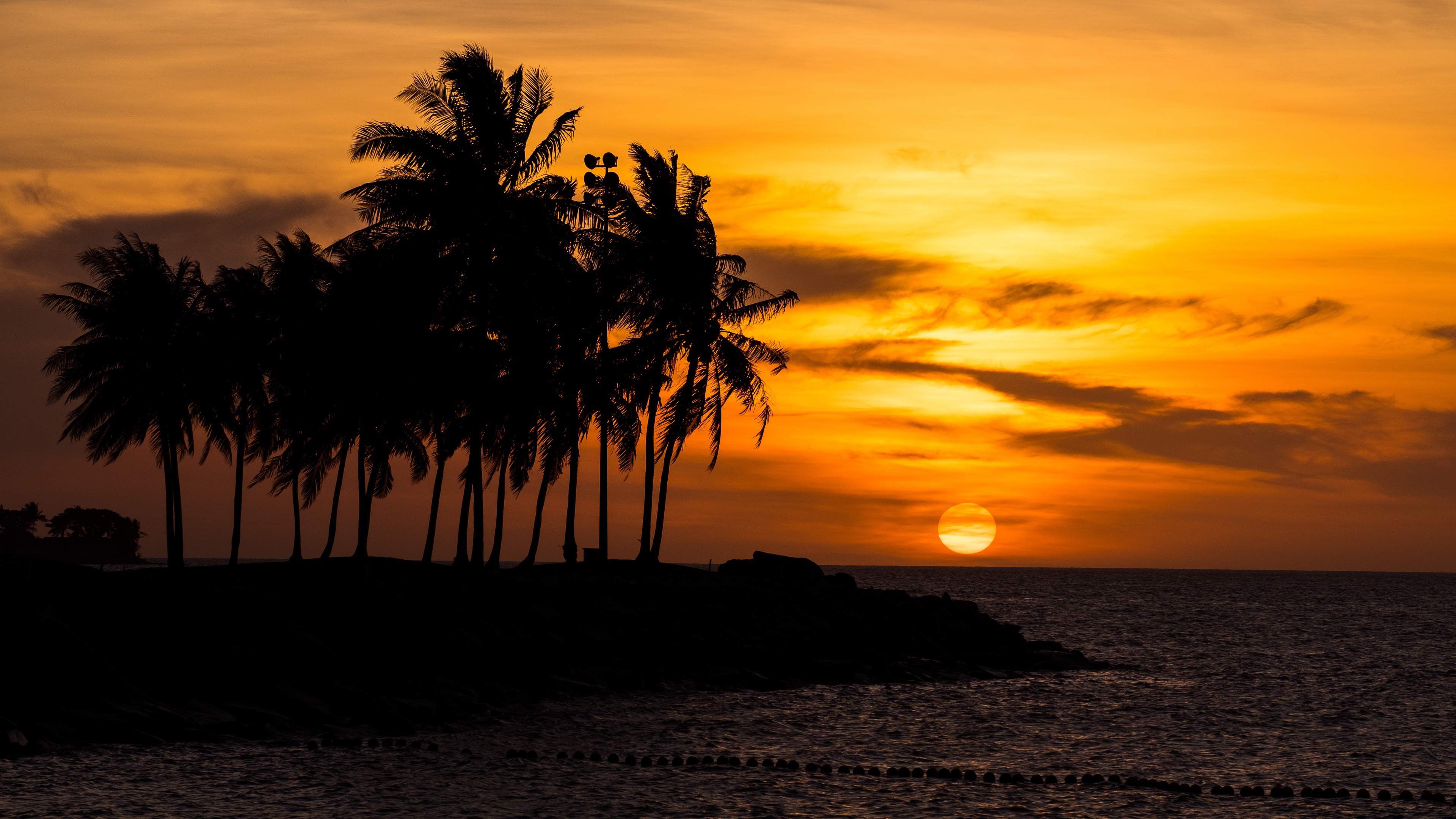 Free download wallpaper Sunset, Sea, Beach, Earth, Palm Tree on your PC desktop