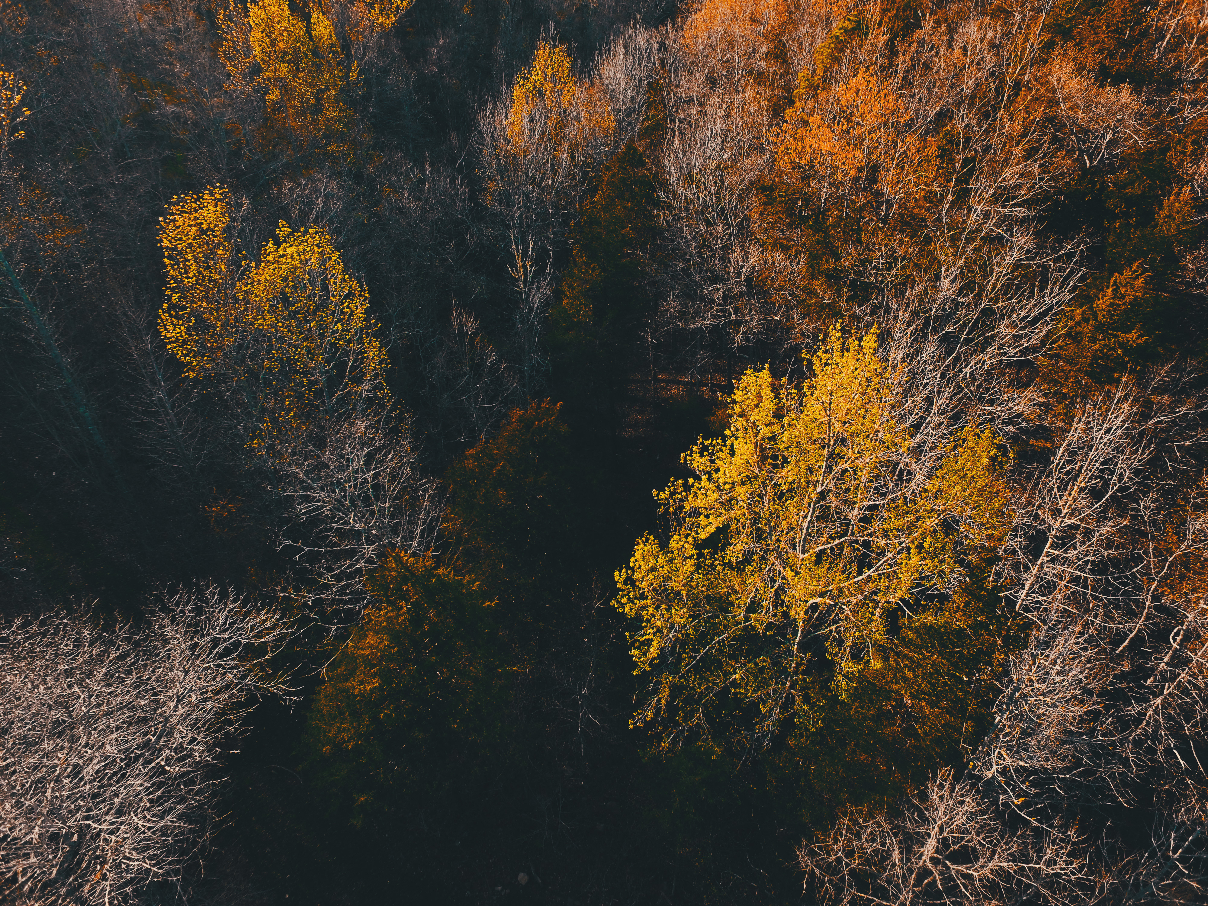 Free download wallpaper Nature, Trees, View From Above, Autumn on your PC desktop