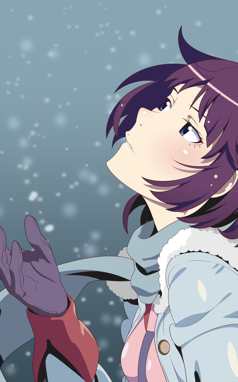 Baixar papel de parede para celular de Anime, Queda De Neve, Monogatari (Série), Cabelo Roxo, Hitagi Senjogahara, Bakemonogatari gratuito.