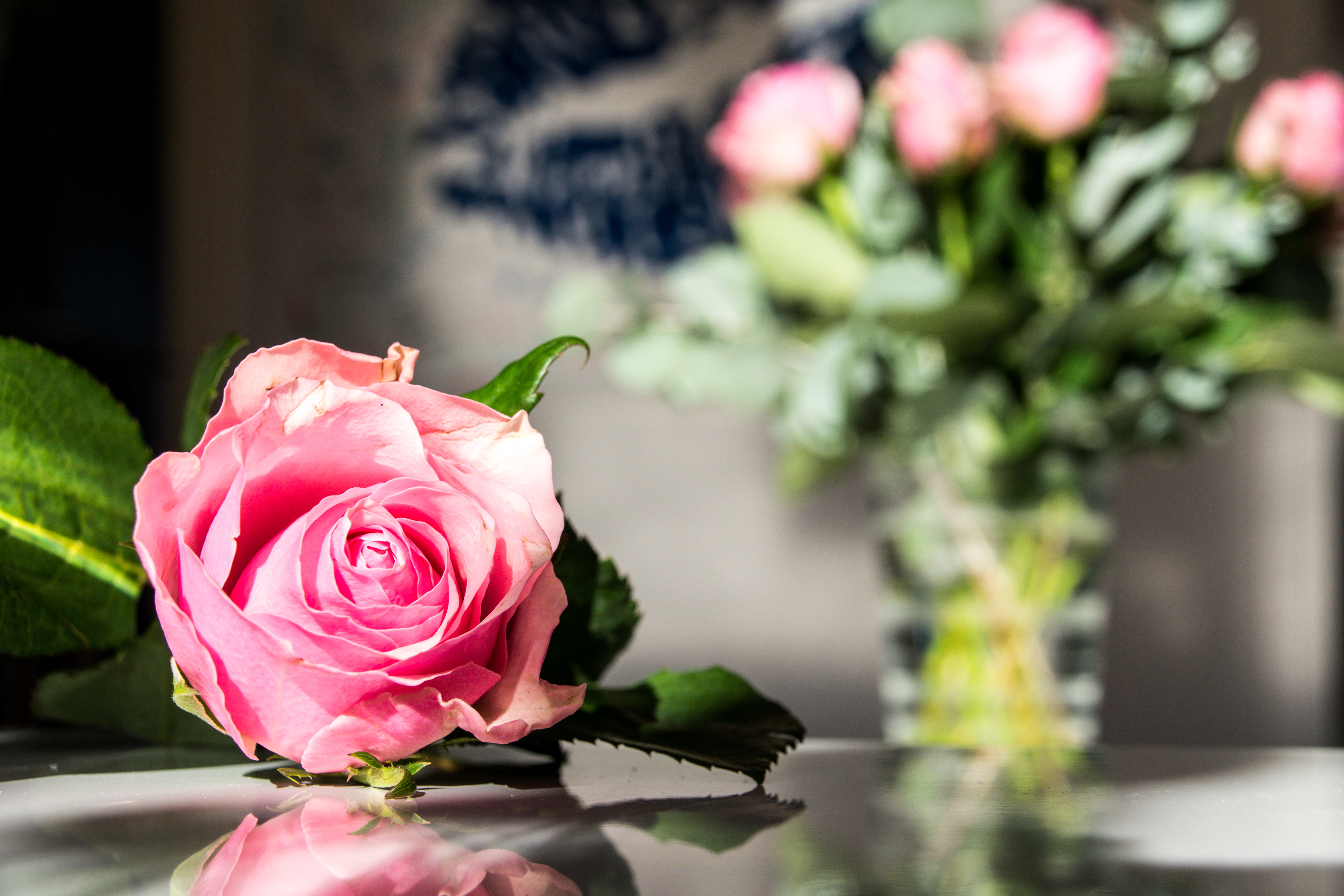 Завантажити шпалери безкоштовно Роза, Пелюстки, Квіти, Макро, Макрос, Рожевий, Троянда картинка на робочий стіл ПК