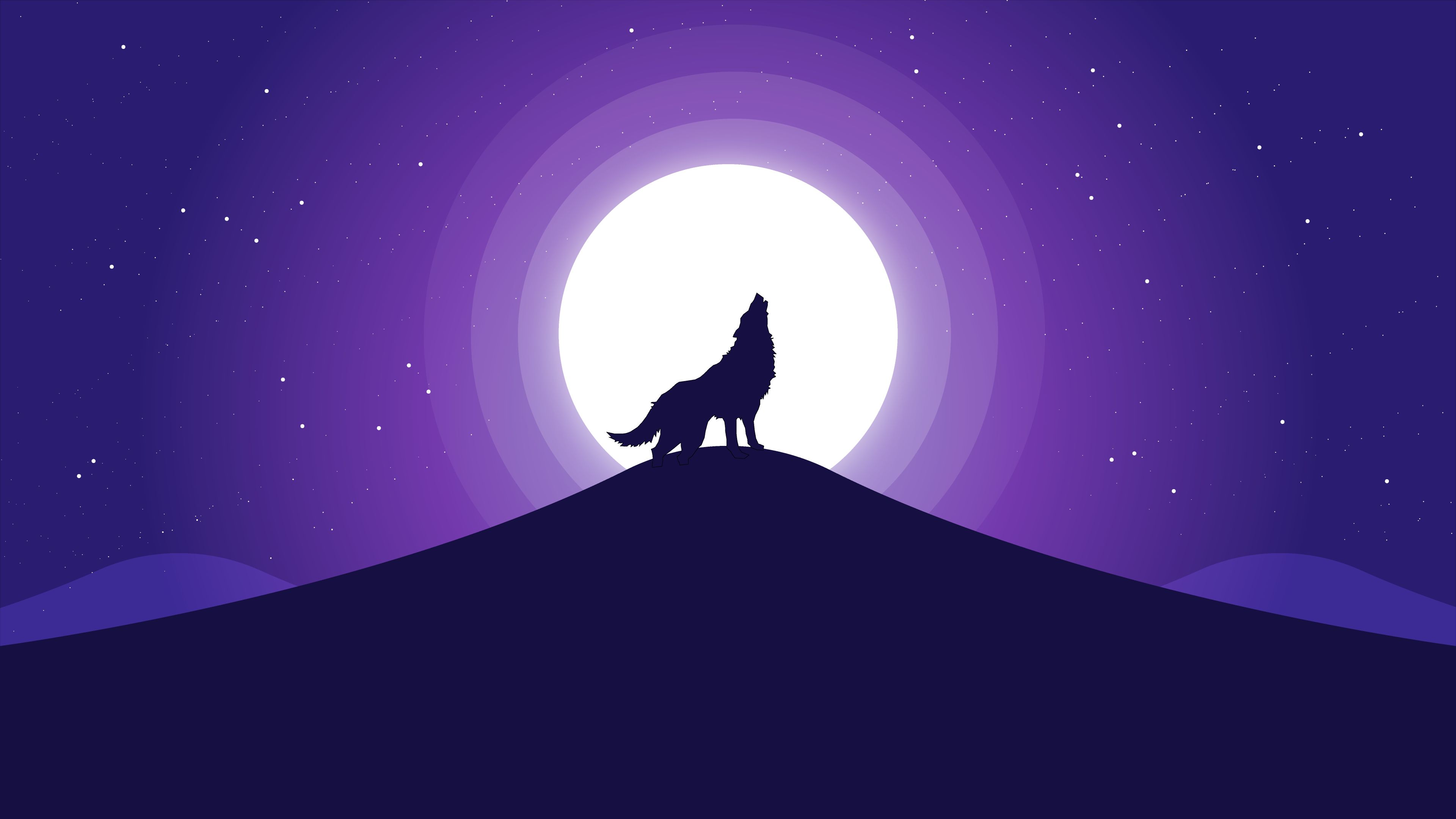 wolf, illustration, animal, artistic, night, vector