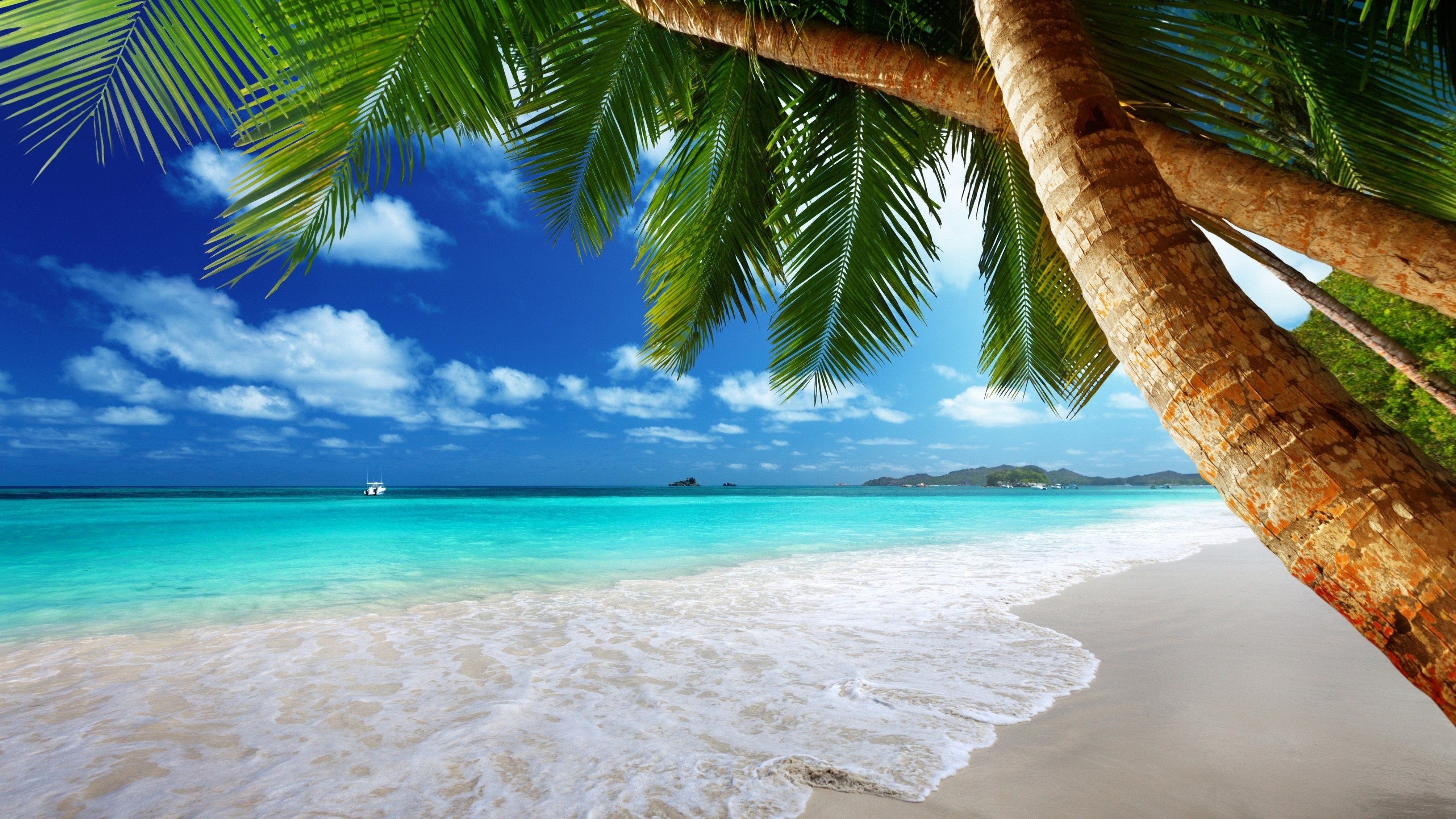 Free download wallpaper Sea, Earth, Tropics, Tropical on your PC desktop