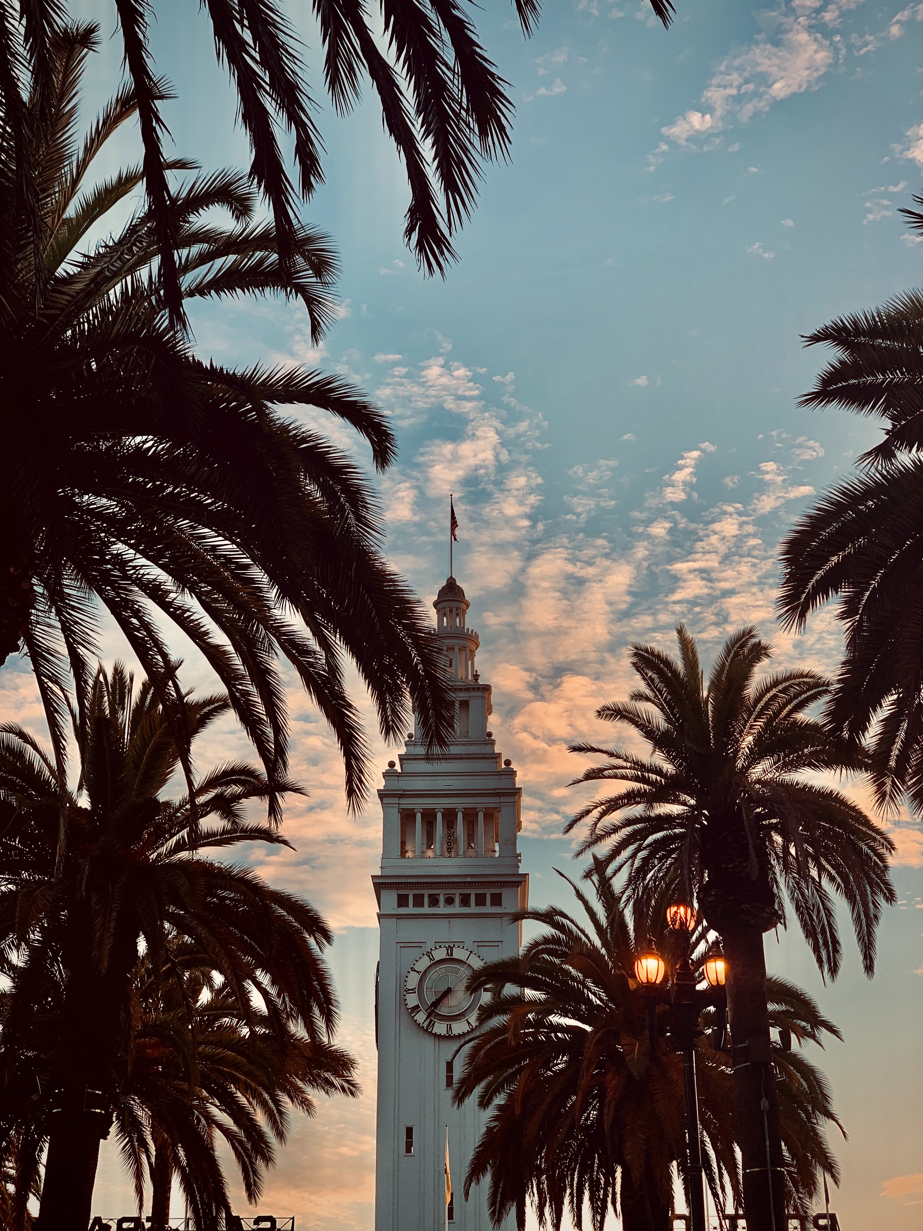 Download mobile wallpaper Cities, Building, Tower, Palms, Architecture for free.