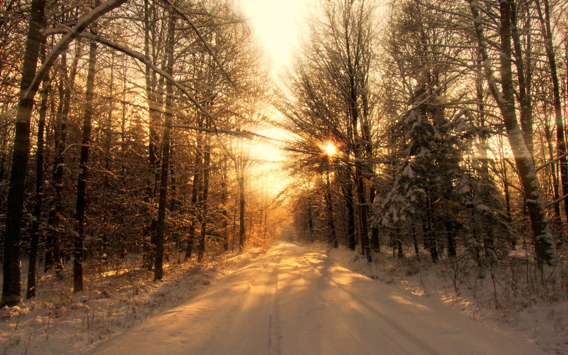 Descarga gratis la imagen Invierno, Tierra/naturaleza en el escritorio de tu PC